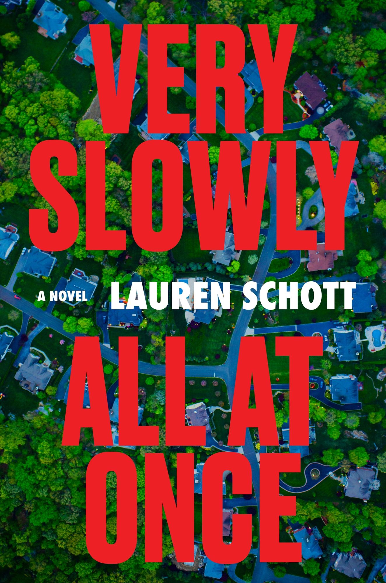 Very Slowly All at Once: A Novel