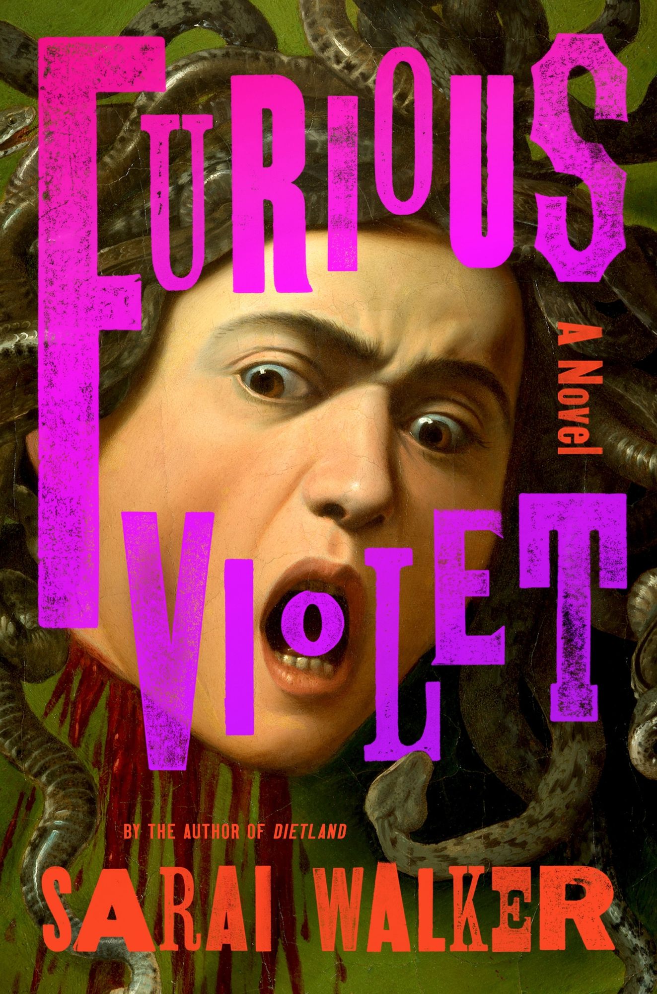 Furious Violet: A Novel