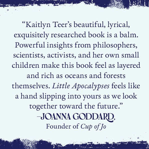 Little Apocalypses: Essays on Motherhood, Climate Change, and Hope at the End of the World
