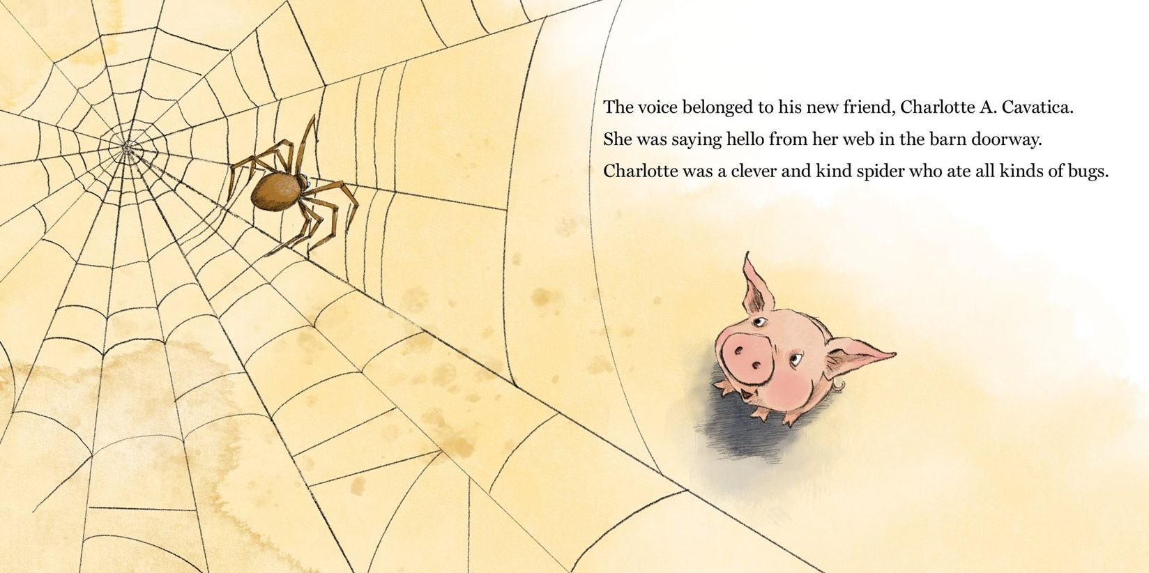 Charlotte's Web