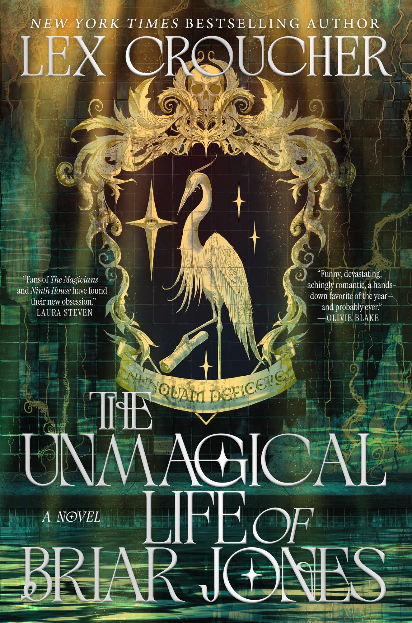 The Unmagical Life of Briar Jones: A Novel