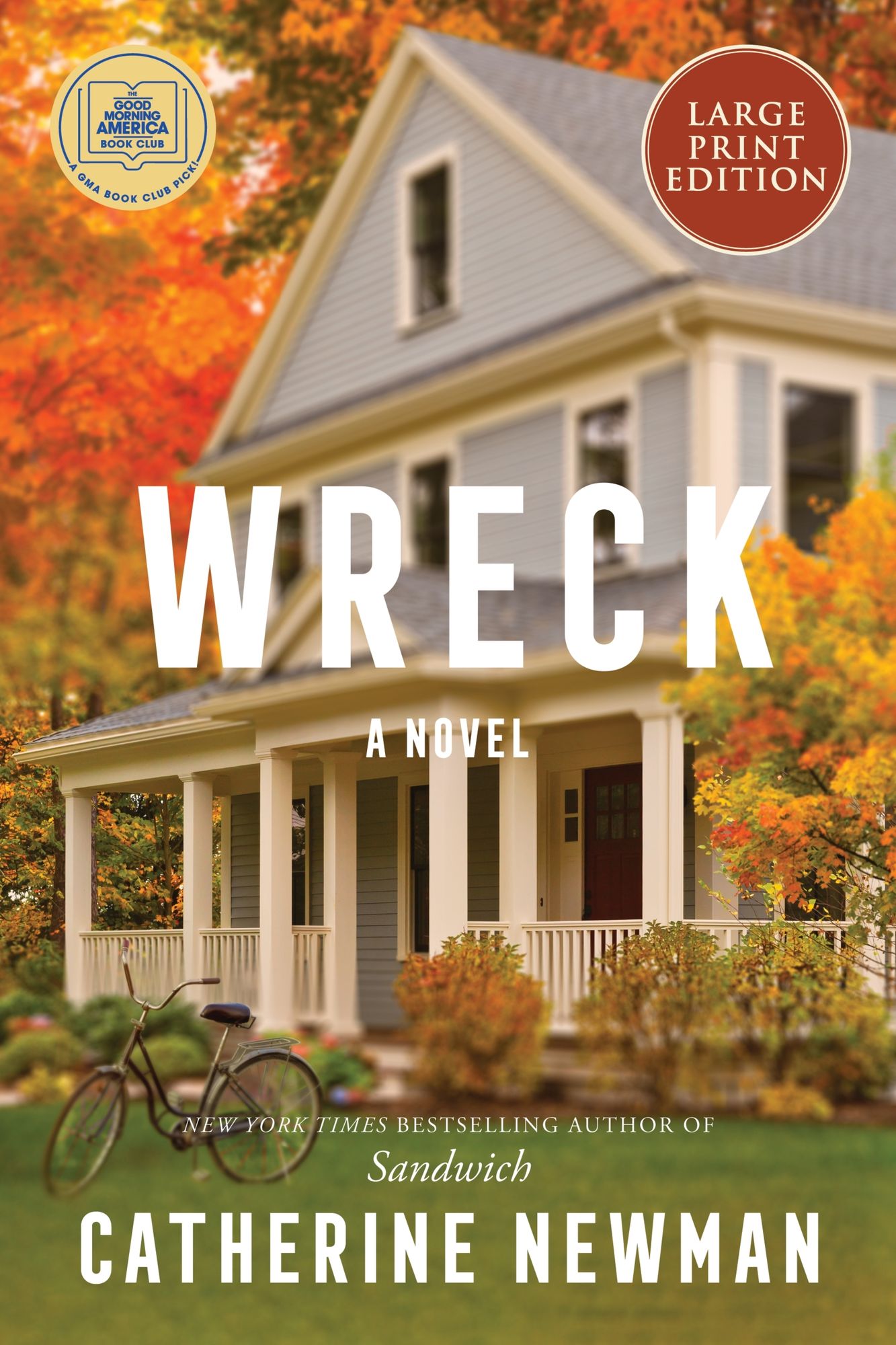 Wreck: A Novel