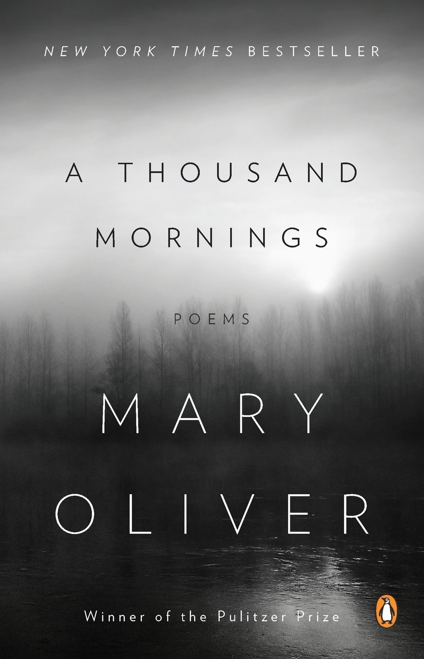 A Thousand Mornings