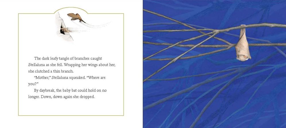 Stellaluna Board Book