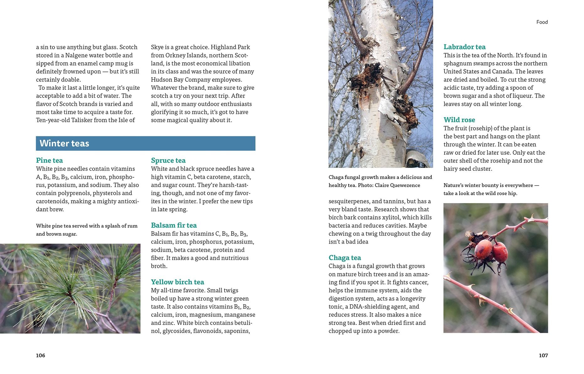 Complete Guide to Winter Camping
