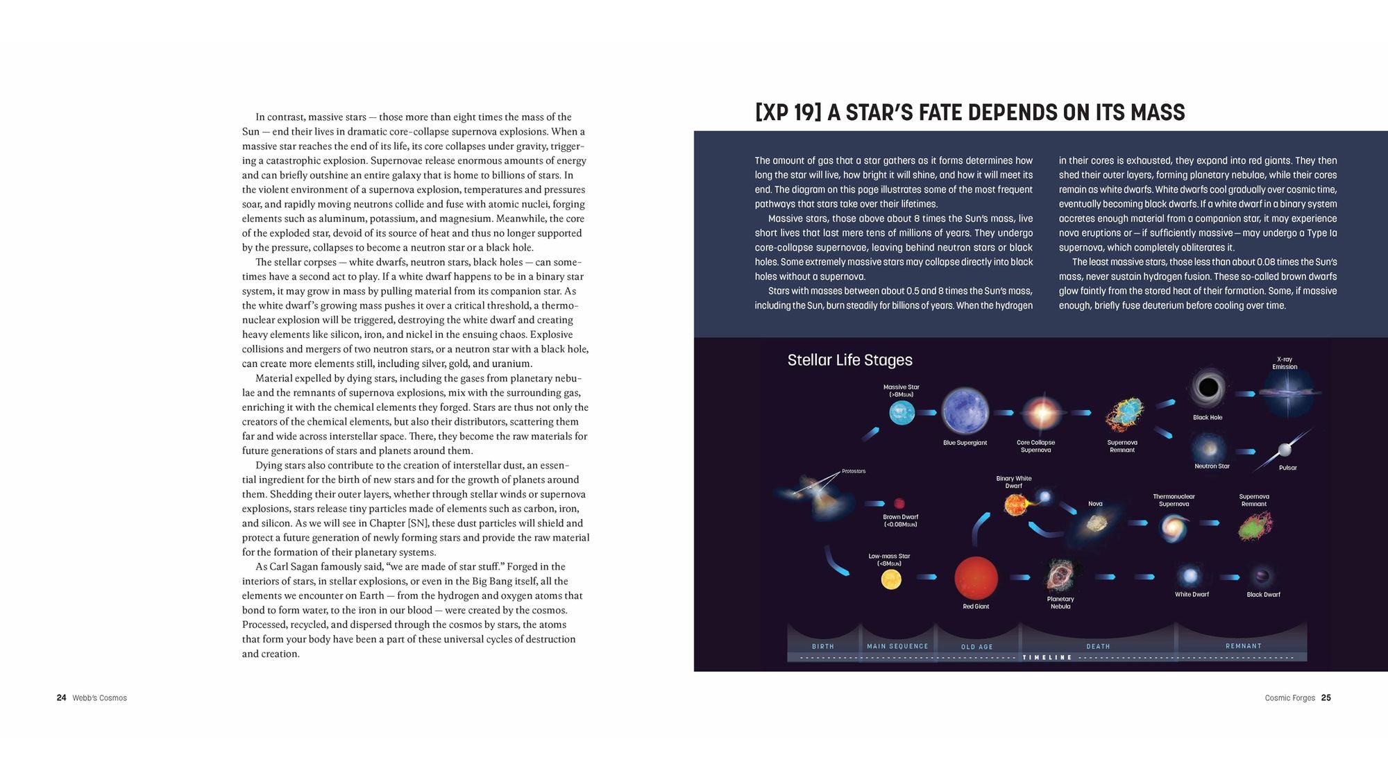 Webb's Cosmos: Images and Discoveries from the James Webb Space Telescope