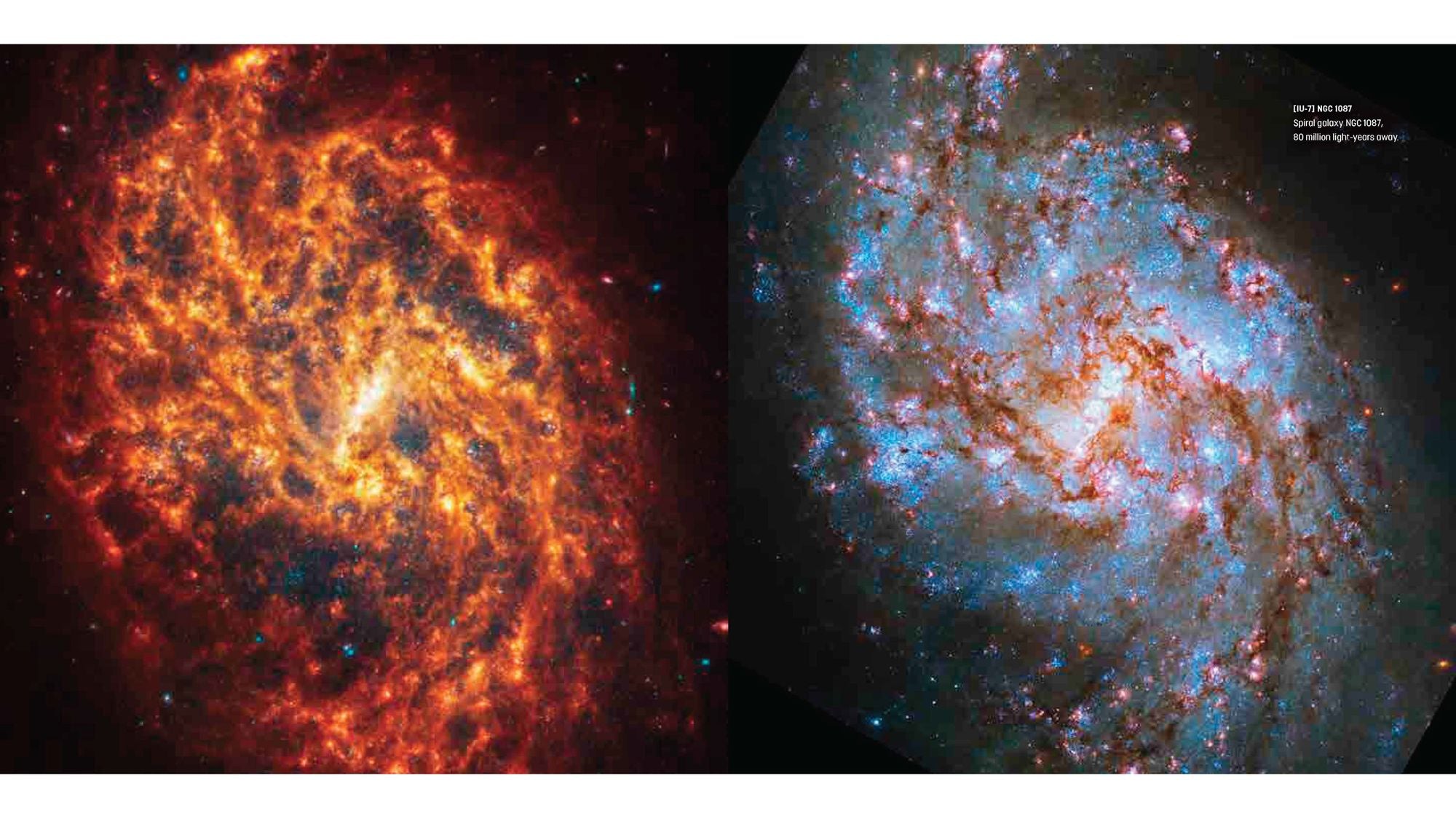 Webb's Cosmos: Images and Discoveries from the James Webb Space Telescope