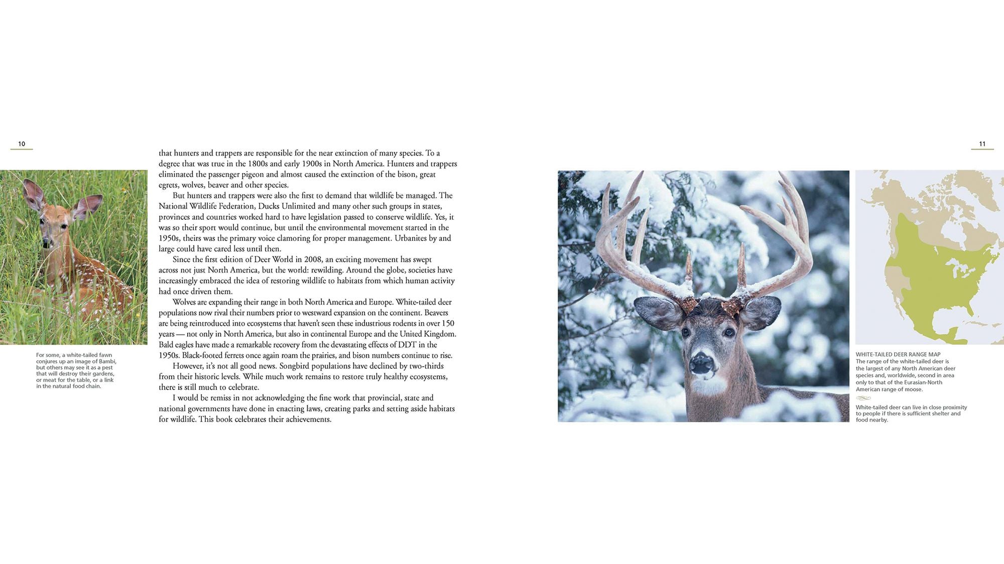 Deer World