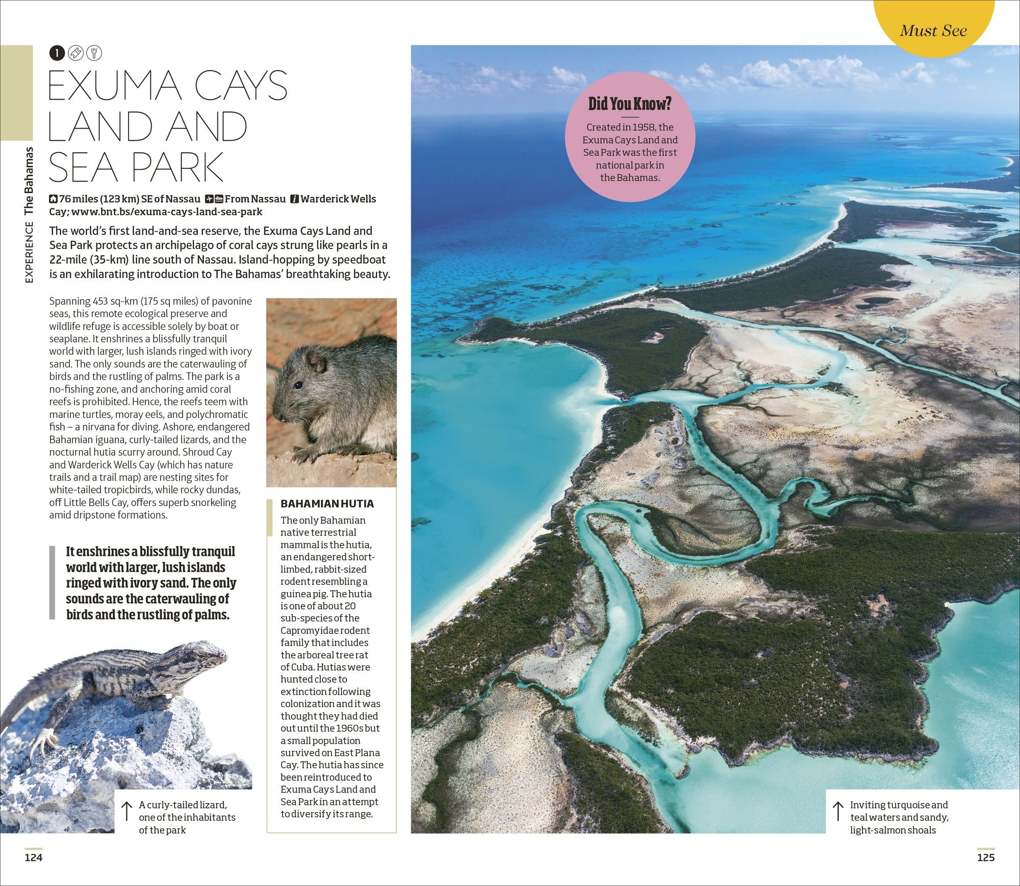 DK Caribbean: Must-See Sights. Culture & History. Detailed Maps & Tours. Covers Dominican Republic, Bahamas, & mor