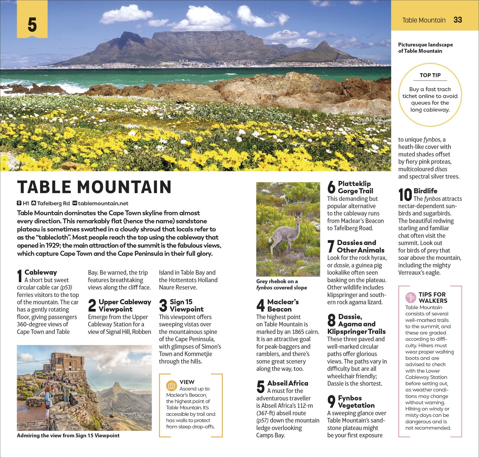 DK Top 10 Cape Town and the Winelands: Top 10 lists for your perfect trip, plus an all-weather folded map