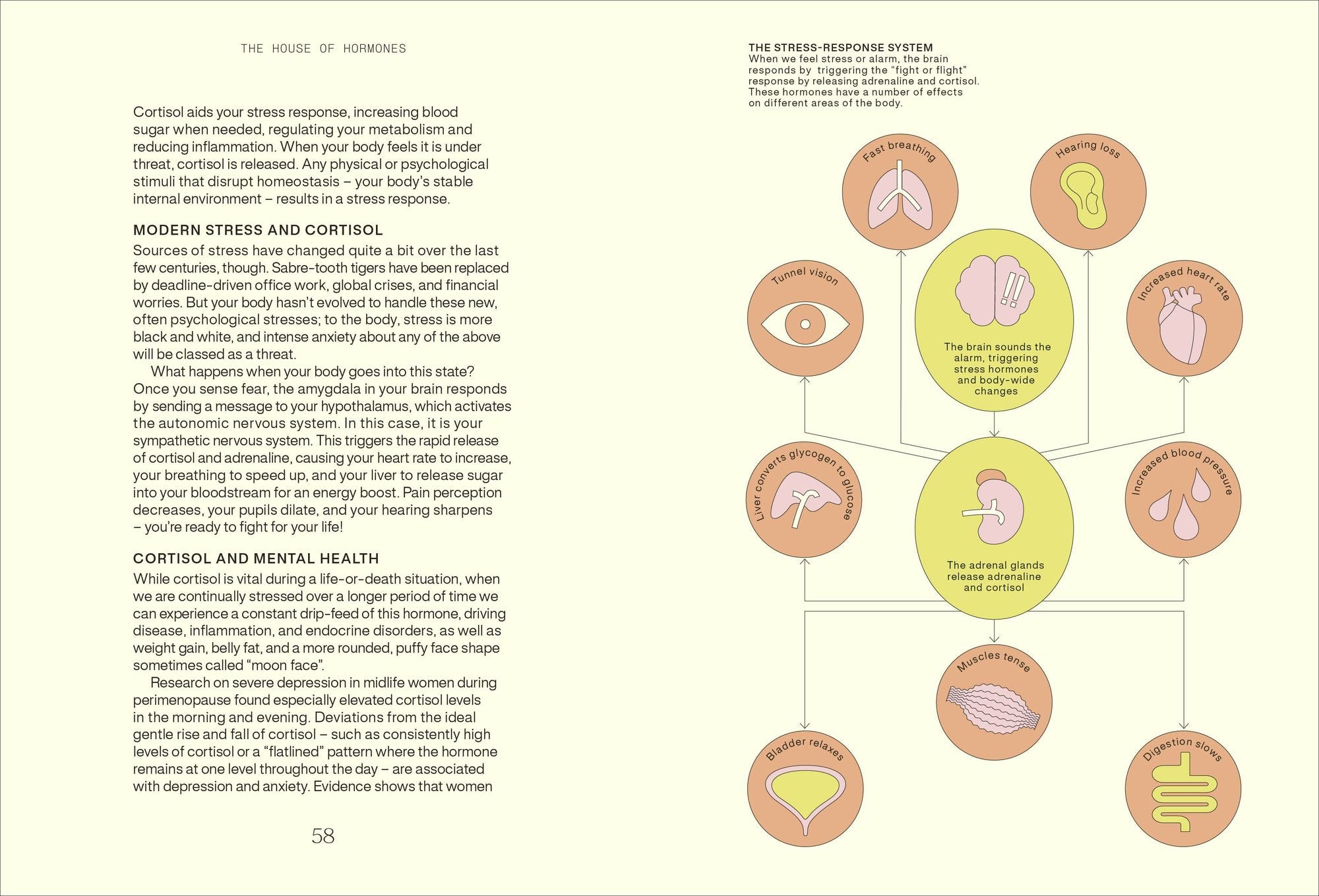Everything I Know About Hormones: Six Steps to Optimal Health and Happiness