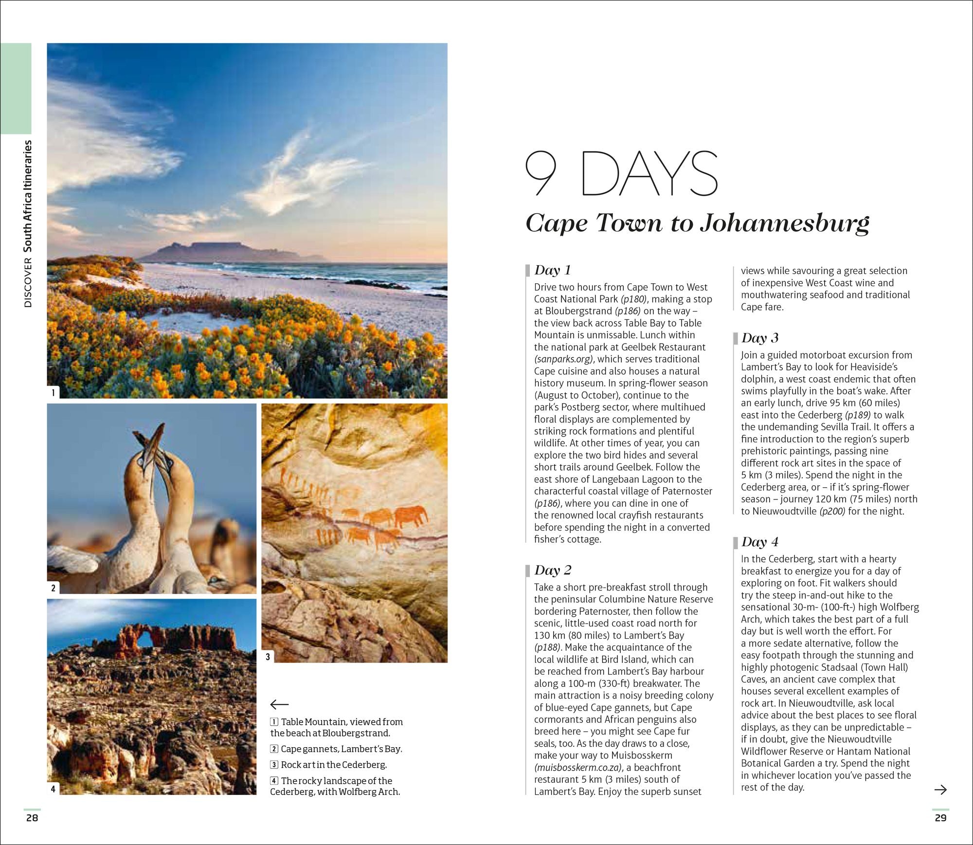 DK South Africa: Must-See Sights. Culture & History. Detailed Maps & Tours. Covers Cape Town, Kruger National Park, &