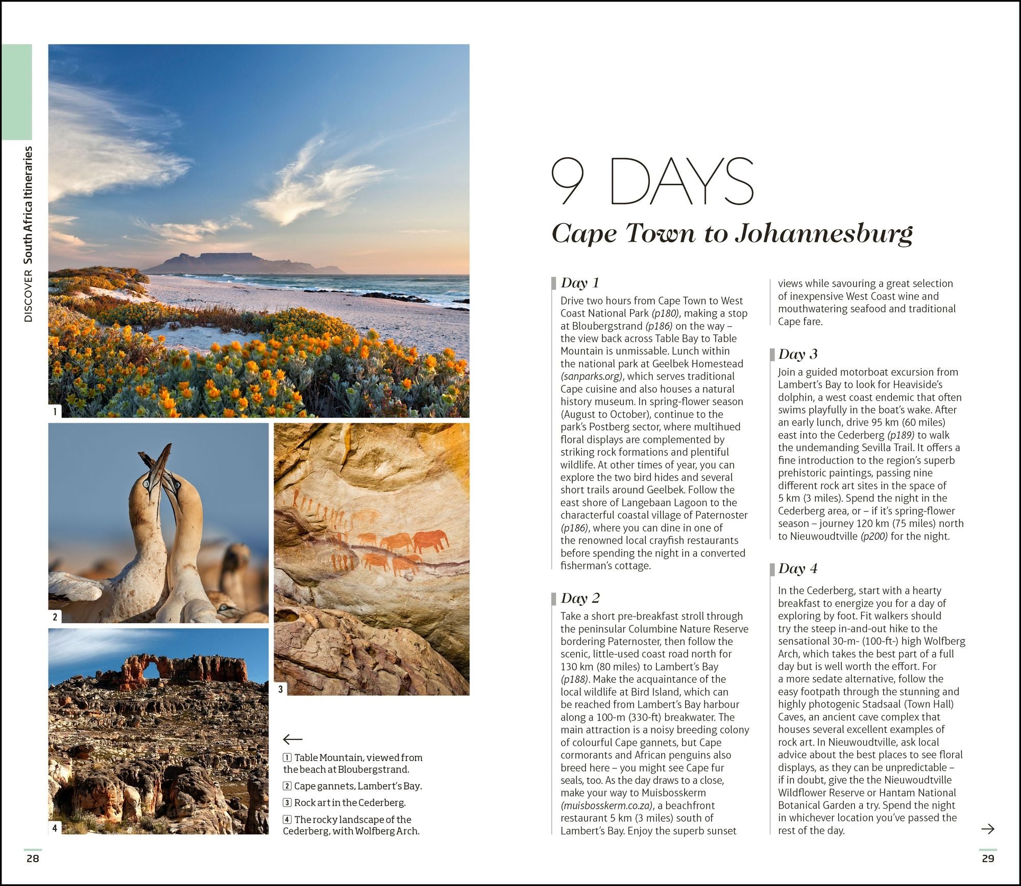 DK South Africa: Must-See Sights. Culture & History. Detailed Maps & Tours. Covers Cape Town, Kruger National Park, &