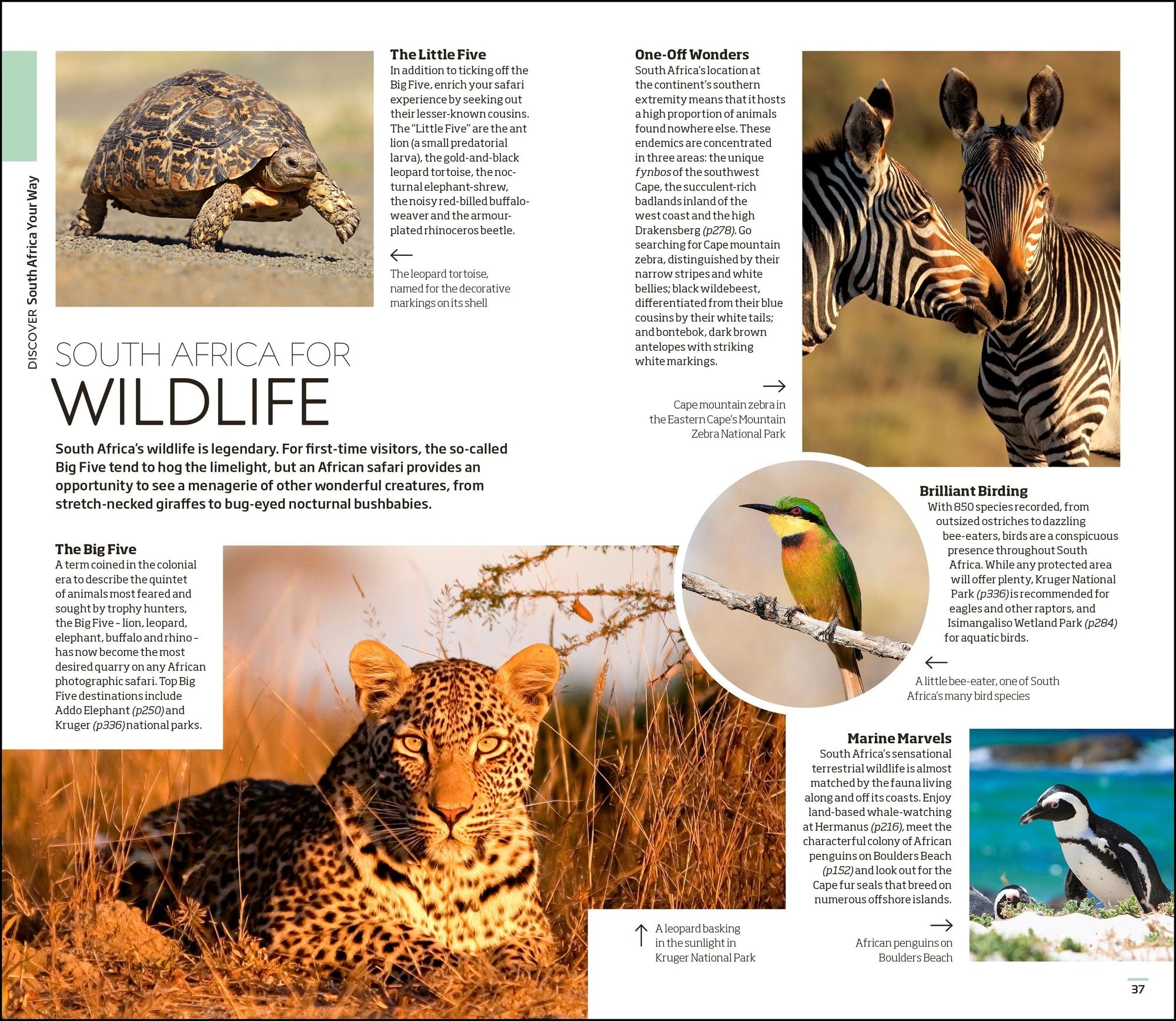DK South Africa: Must-See Sights. Culture & History. Detailed Maps & Tours. Covers Cape Town, Kruger National Park, &