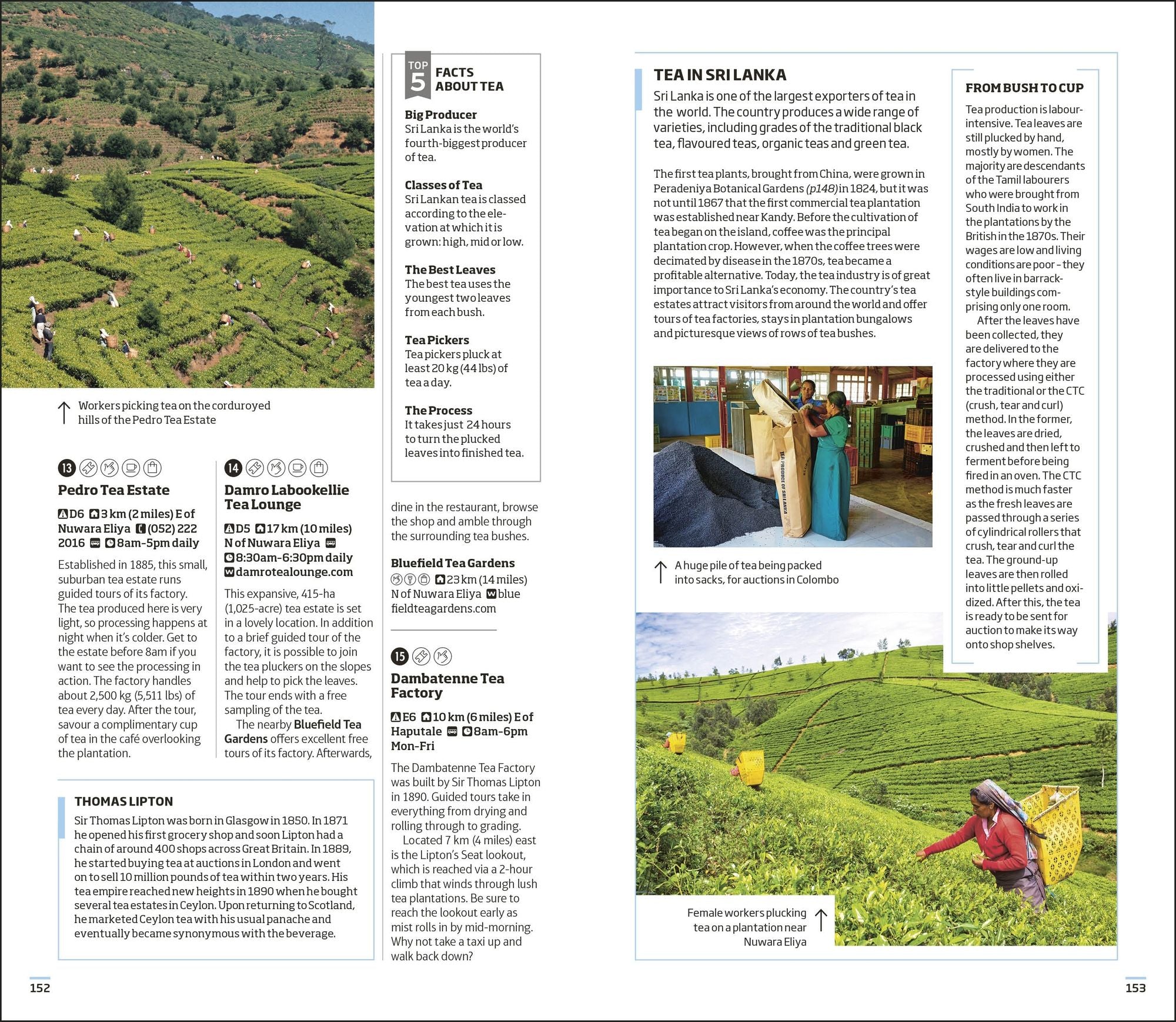 DK Sri Lanka: Must-See Sights. Culture & History. Detailed Maps & Tours. Covers Colombo, Sigiriya, Dambulla, & mor