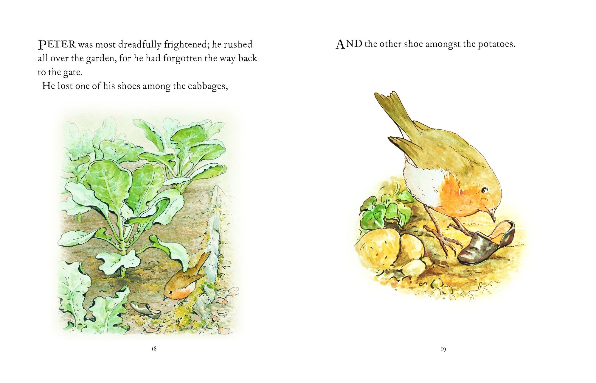 The Tale of Peter Rabbit