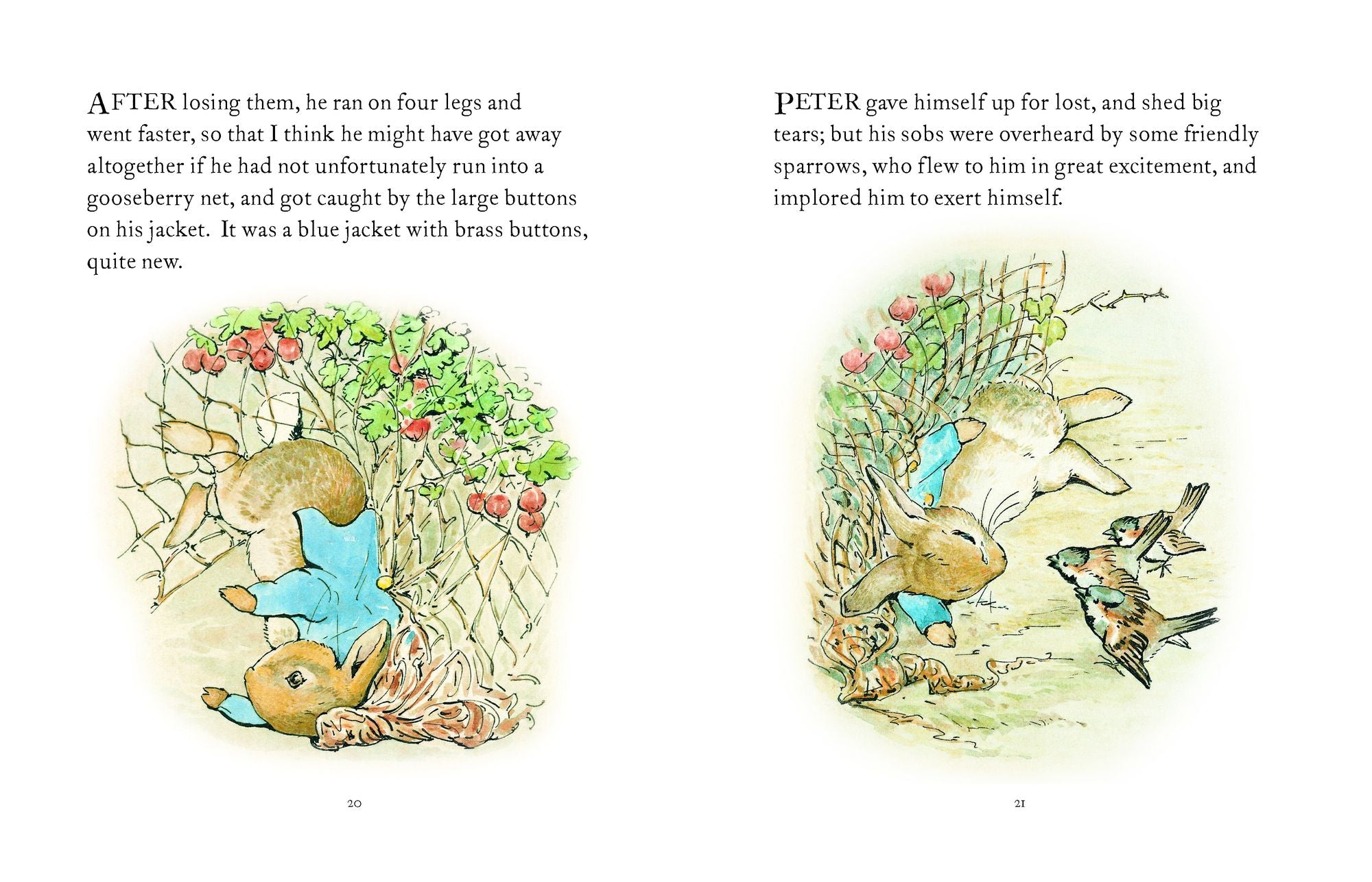 The Tale of Peter Rabbit