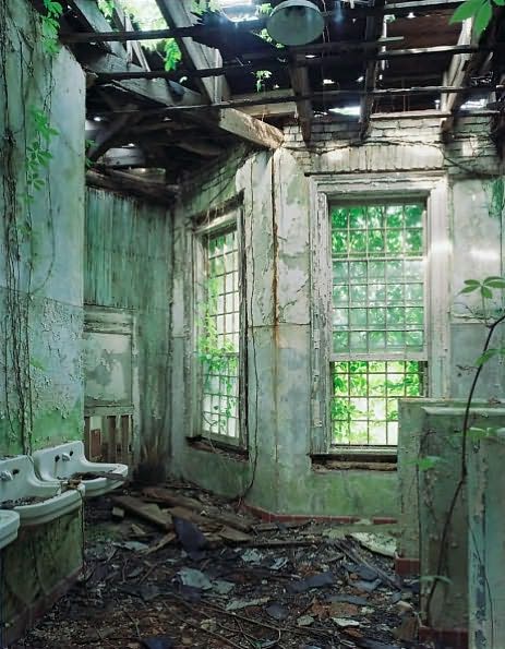 Asylum: Inside the Closed World of State Mental Hospitals