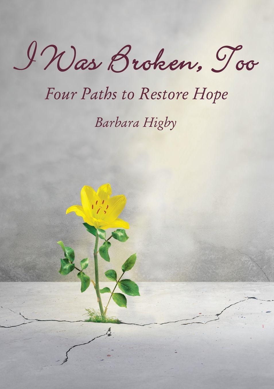 I Was Broken, Too: Four Paths to Restore Battered Hope