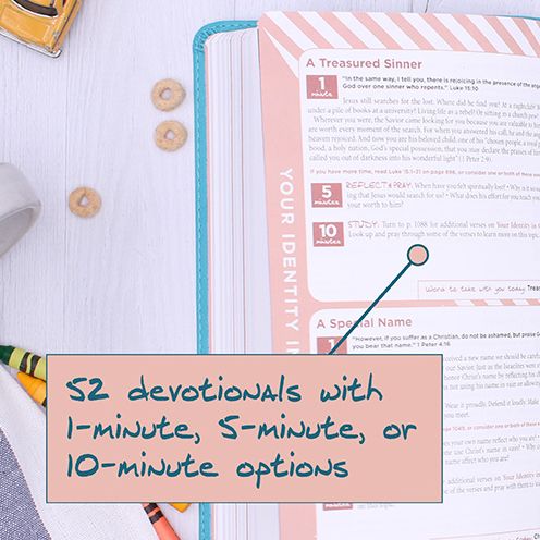 NIV, The Busy Mom's Bible, Leathersoft, Teal, Red Letter, Comfort Print: Daily Inspiration Even If You Only Have One Minute