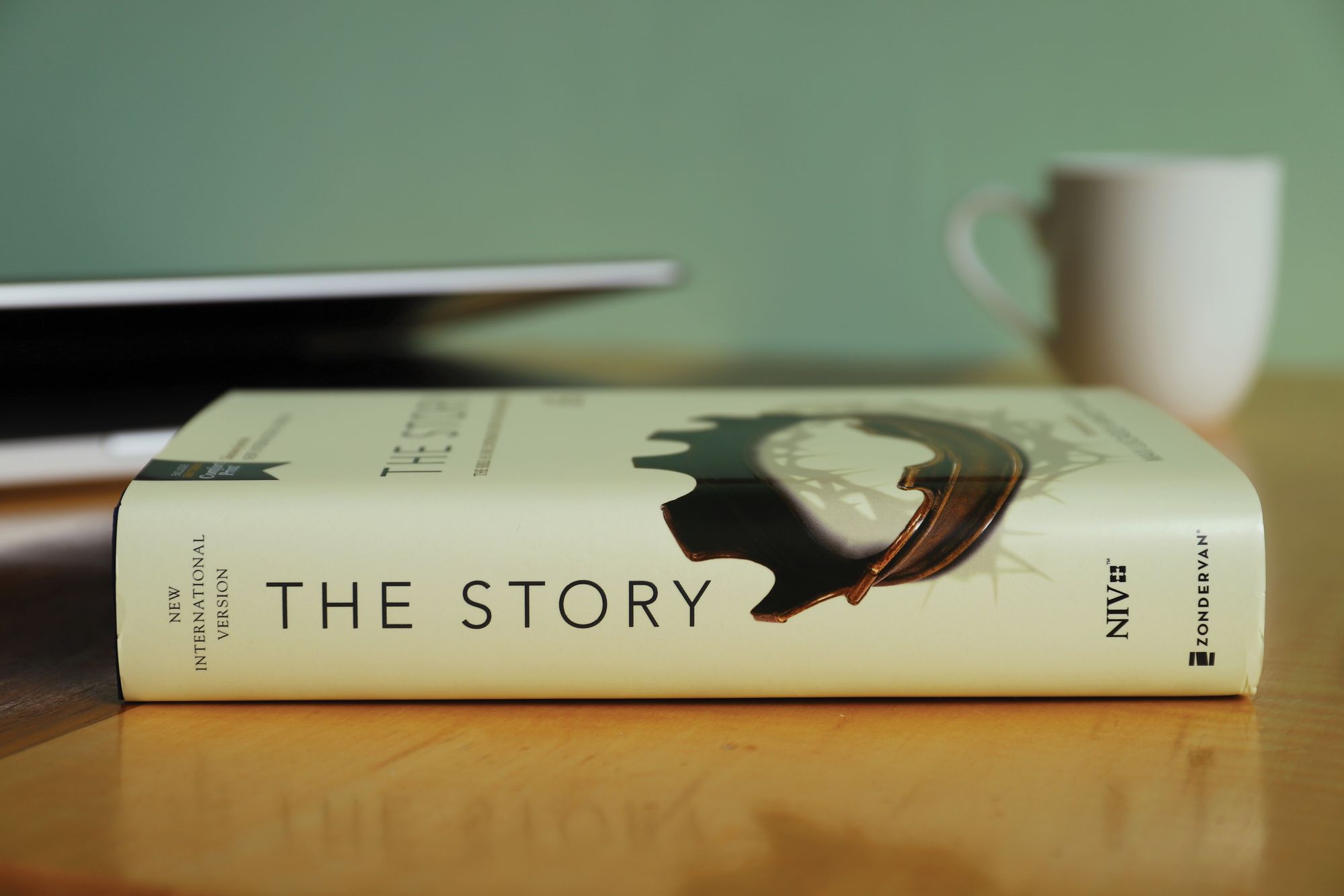 The Story: The Bible as One Continuing Story of God and His People (NIV)