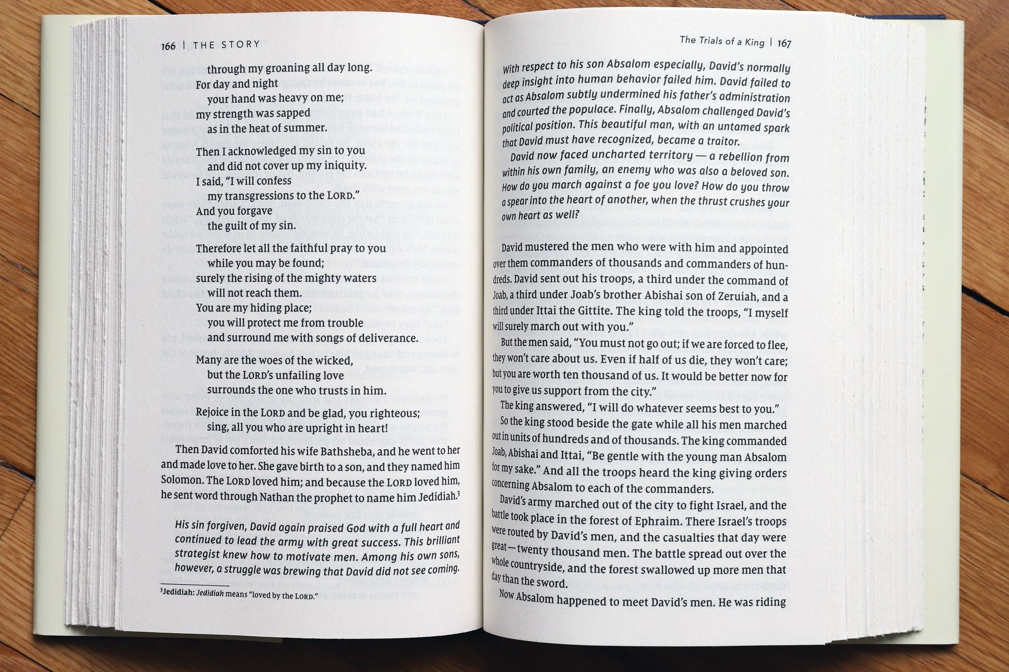 The Story: The Bible as One Continuing Story of God and His People (NIV)