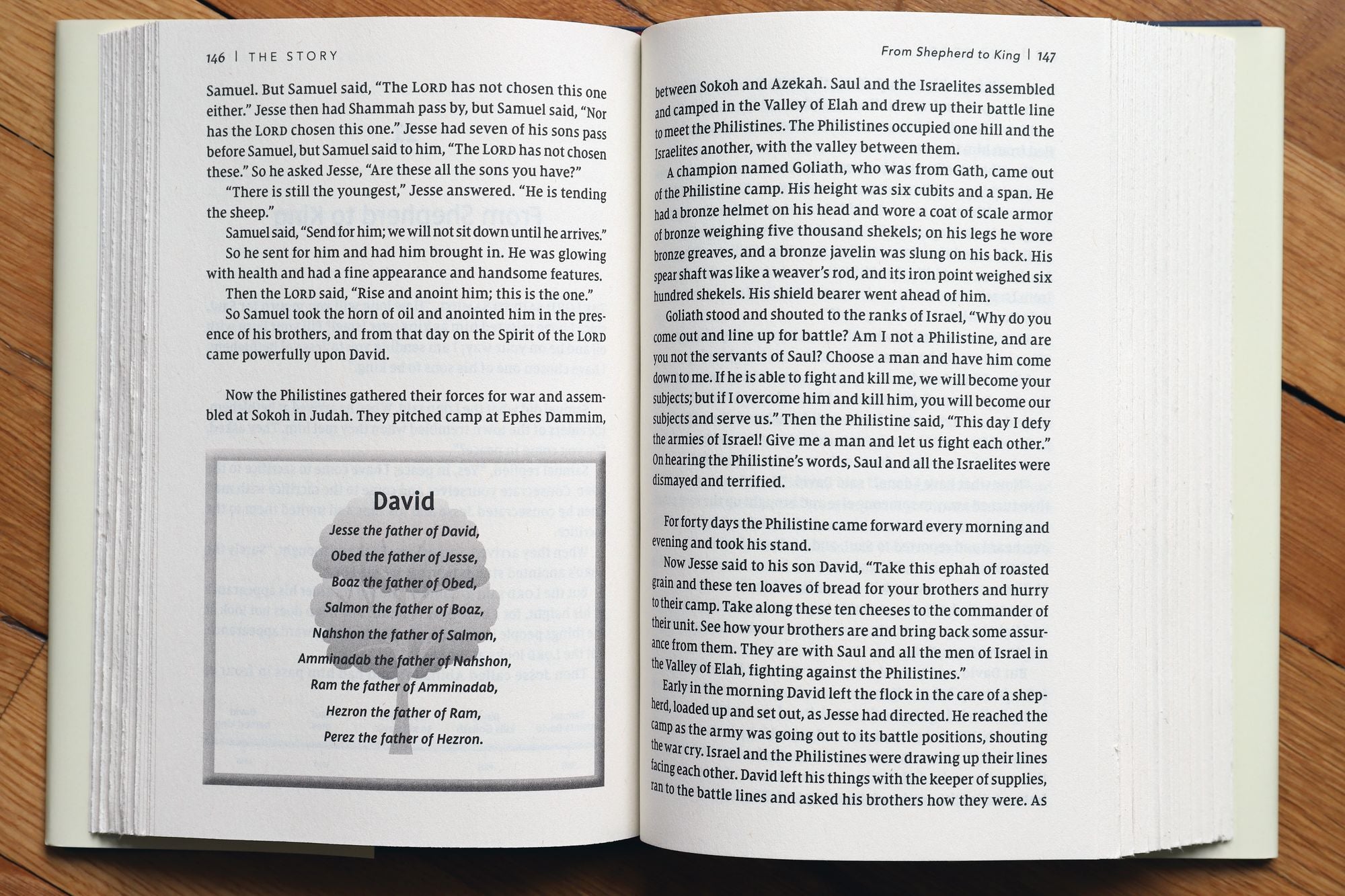 The Story: The Bible as One Continuing Story of God and His People (NIV)