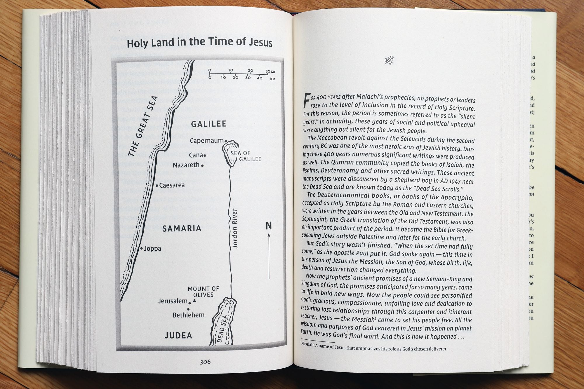 The Story: The Bible as One Continuing Story of God and His People (NIV)
