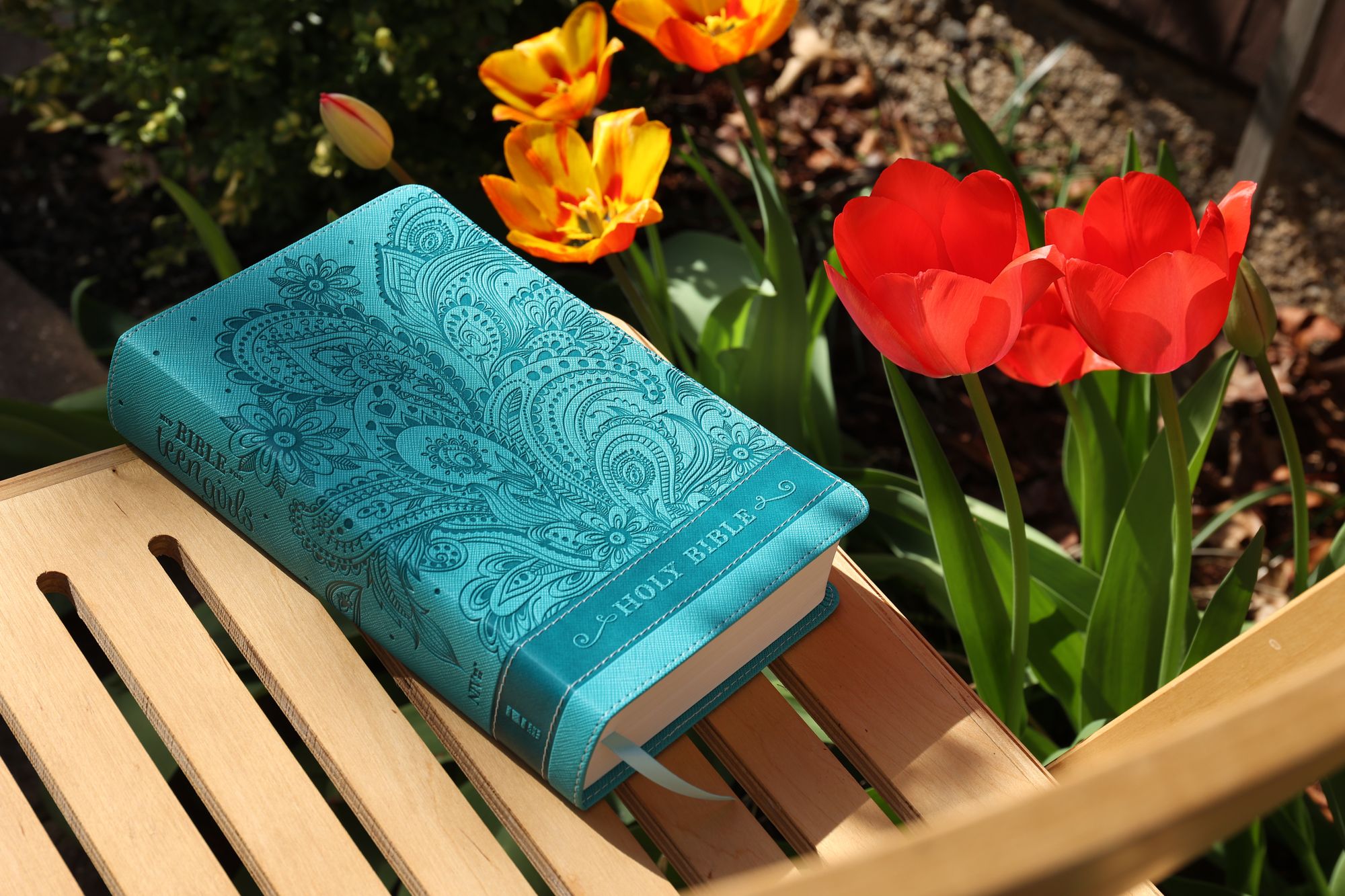 NIV, Bible for Teen Girls, Leathersoft, Blue, Thumb Indexed Tabs: Growing in Faith, Hope, and Love - The Perfect Christian Faith Gift for Your Teenage Girl, Age 13-18