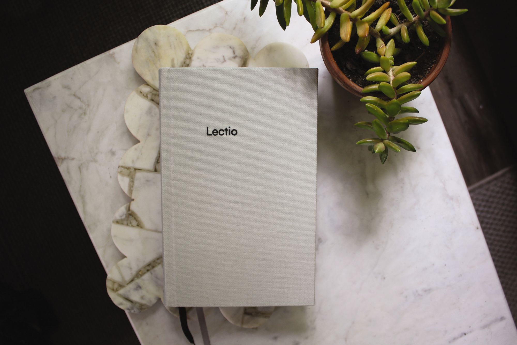 NIV Lectio Bible: A simple, ancient way to read the library of Scripture, Cloth over Board: The Practicing the Way edition with an introduction by John Mark Comer