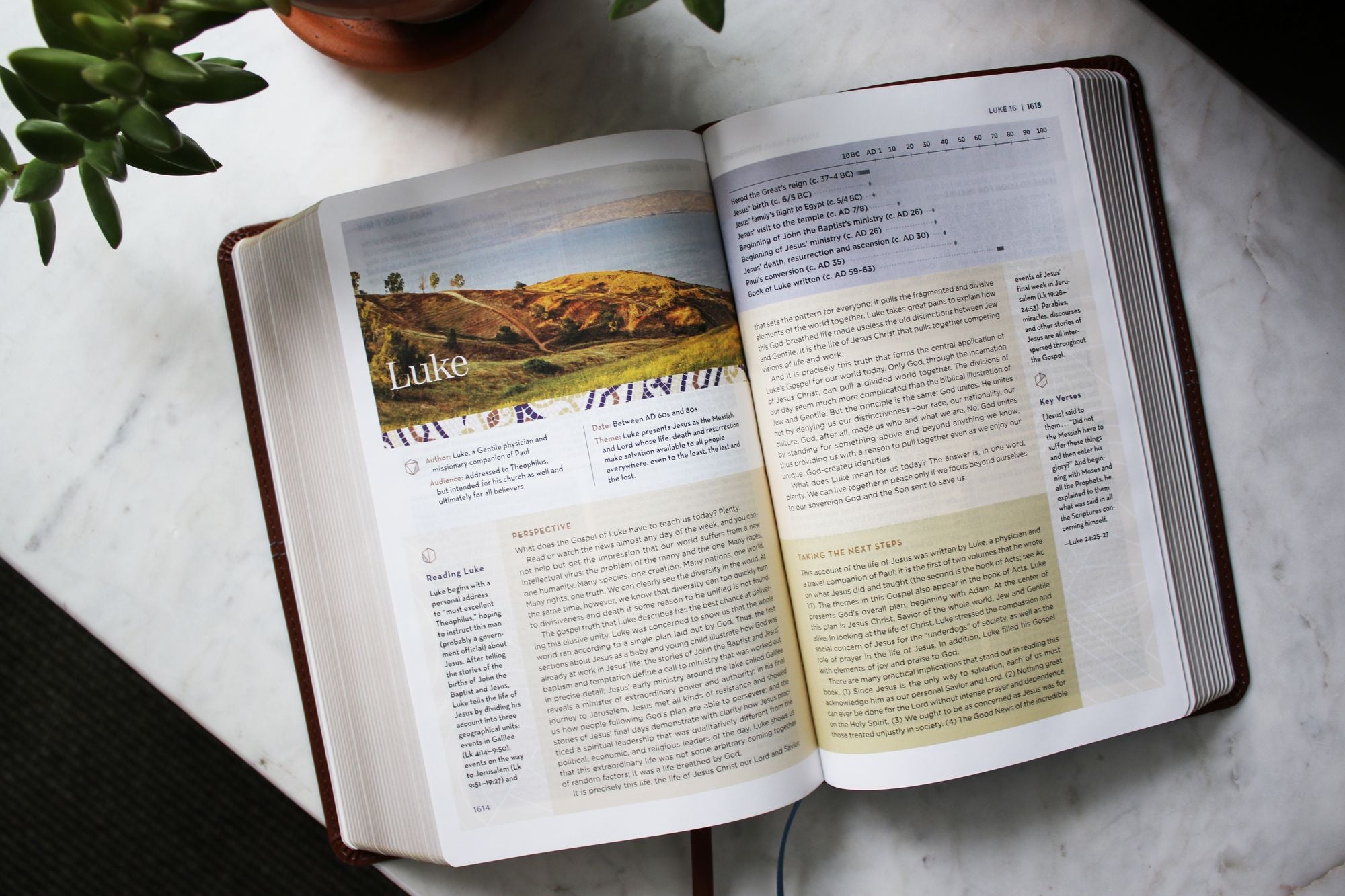 NIV Application Bible, Personal Size, Leathersoft, Brown/Blue, Red Letter, Comfort Print: Bringing the Ancient Message of the Bible into Your World