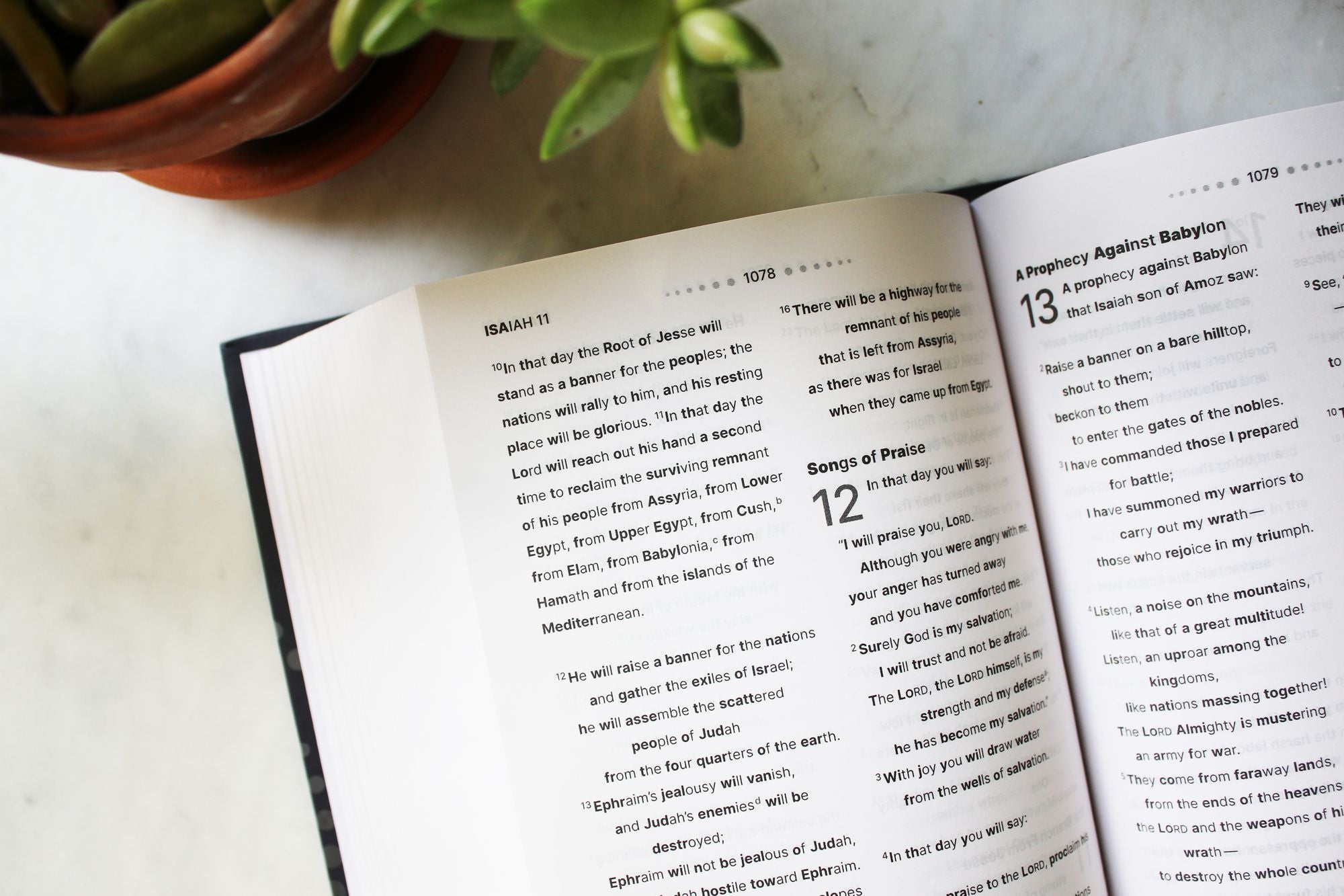 NIV, Clear Focus Bible, Hardcover, Charcoal/Copper: Read more of the Bible with better focus using the Bionic Reading Method