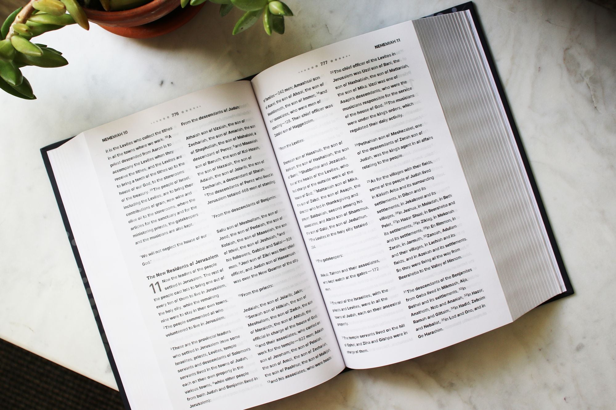 NIV, Clear Focus Bible, Hardcover, Charcoal/Copper: Read more of the Bible with better focus using the Bionic Reading Method