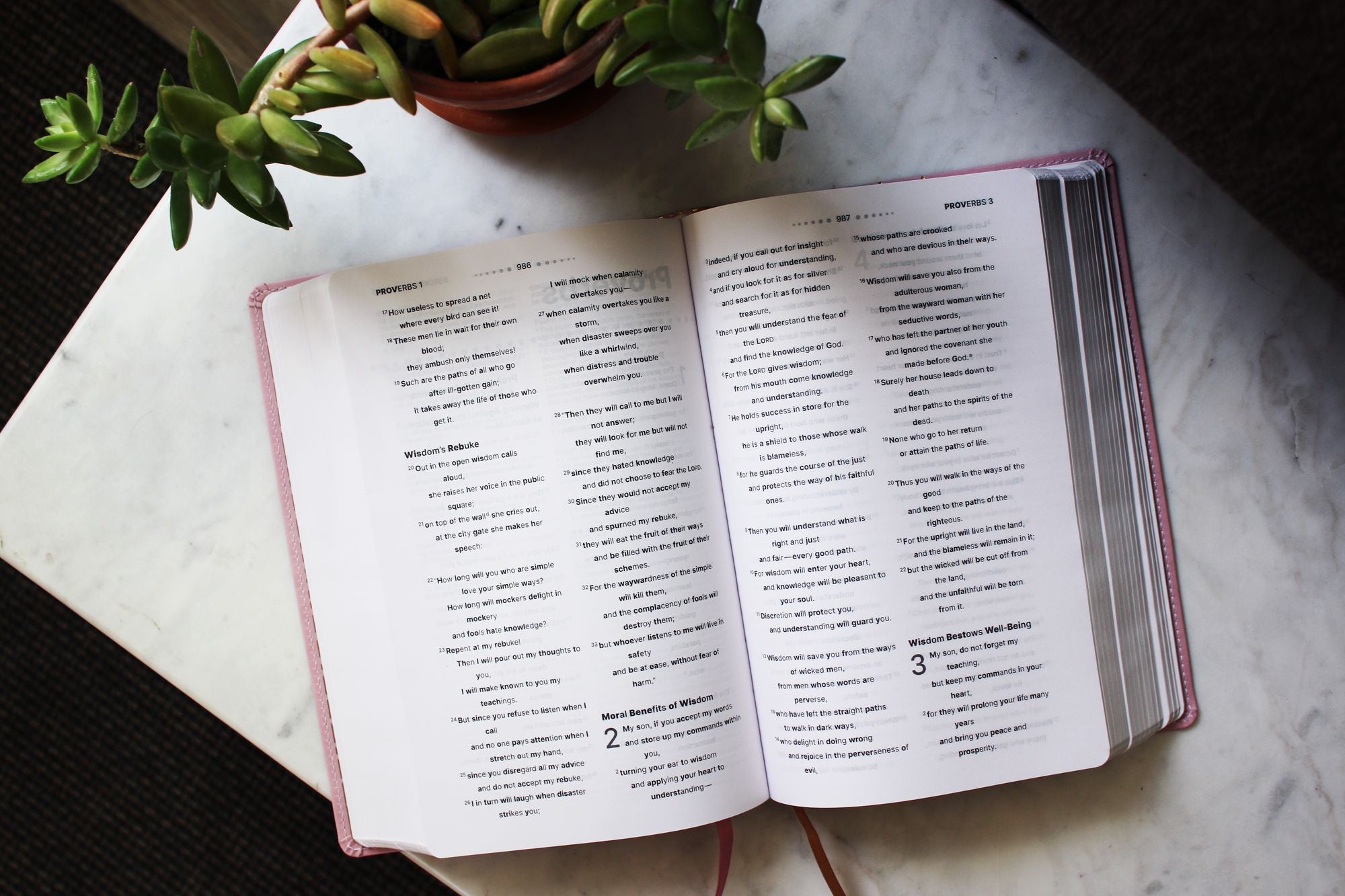 NIV, Clear Focus Bible, Leathersoft, Pink: Read more of the Bible with better focus using the Bionic Reading Method