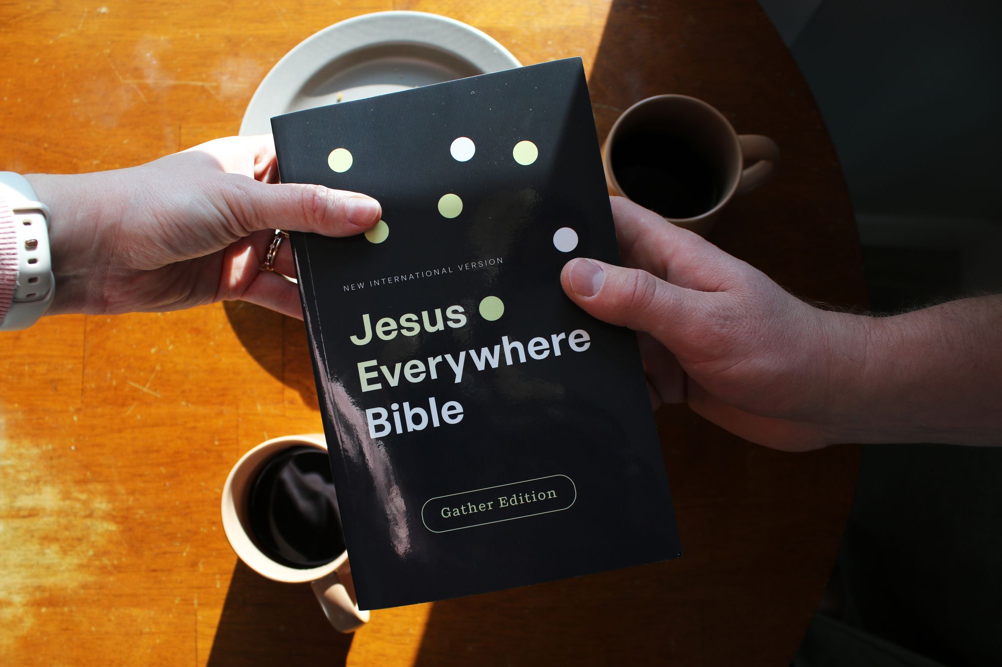 NIV, Jesus Everywhere Outreach Bible, Larger Print, Paperback, Comfort Print