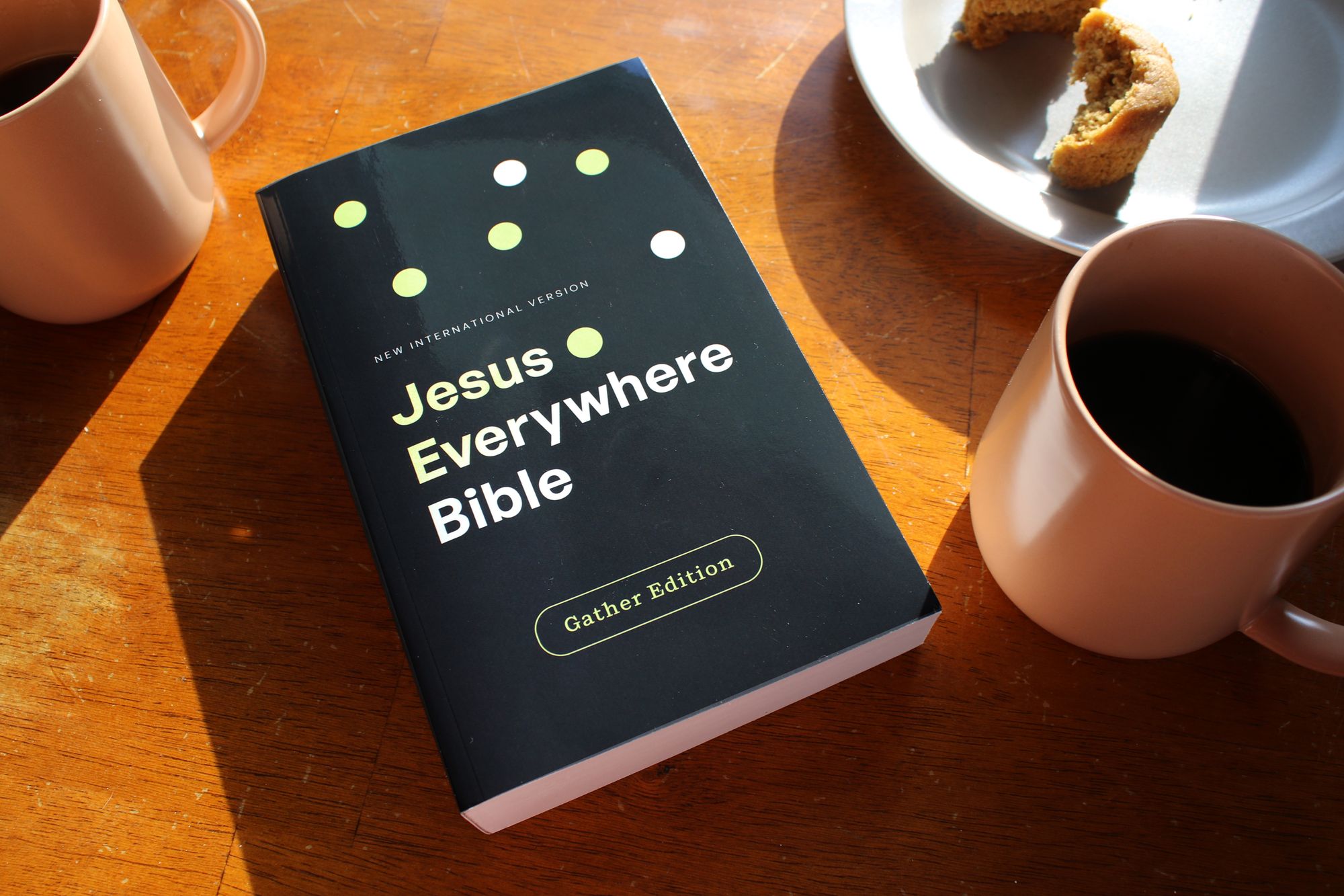 NIV, Jesus Everywhere Outreach Bible, Larger Print, Paperback, Comfort Print