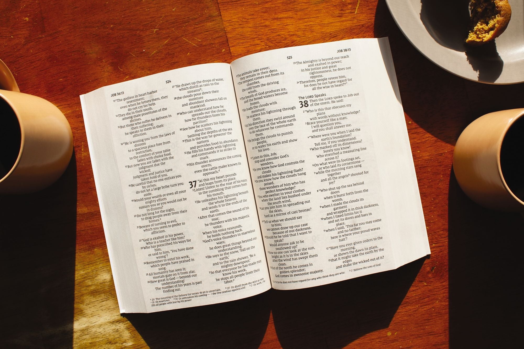 NIV, Jesus Everywhere Outreach Bible, Larger Print, Paperback, Comfort Print