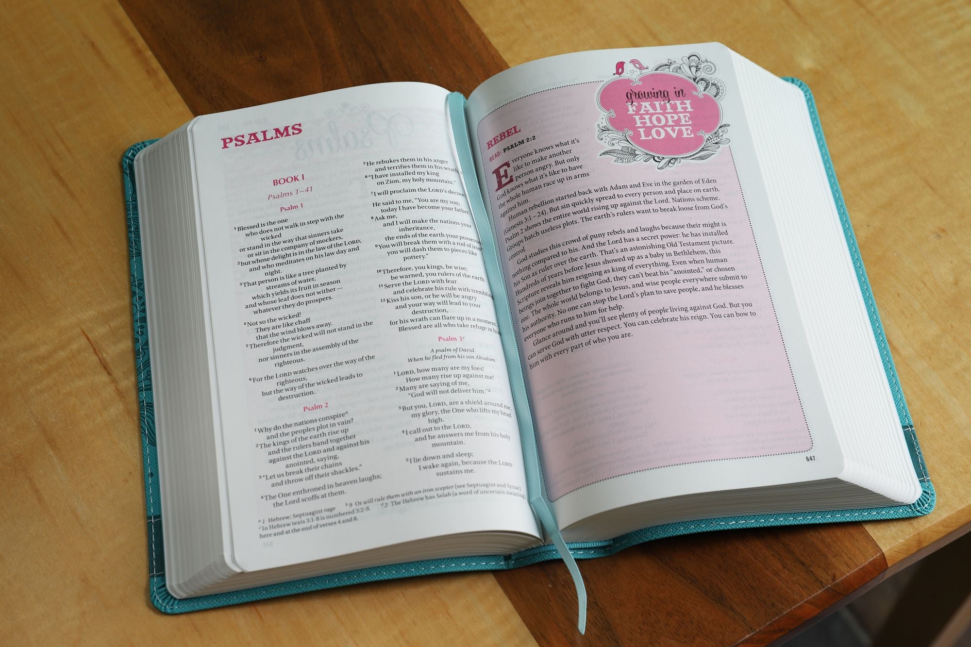 NIV Bible for Teen Girls: Growing in Faith, Hope, and Love