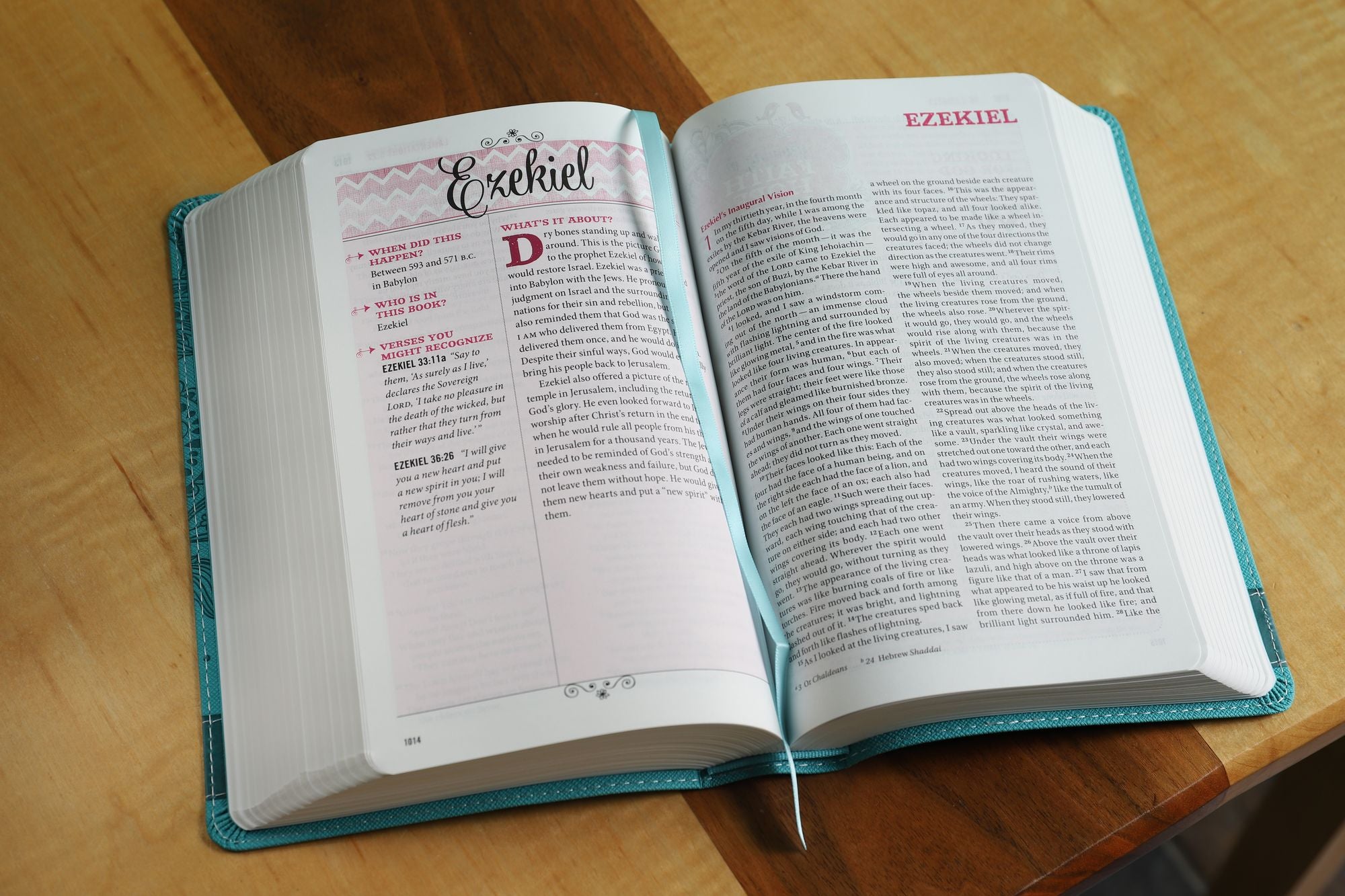 NIV Bible for Teen Girls: Growing in Faith, Hope, and Love