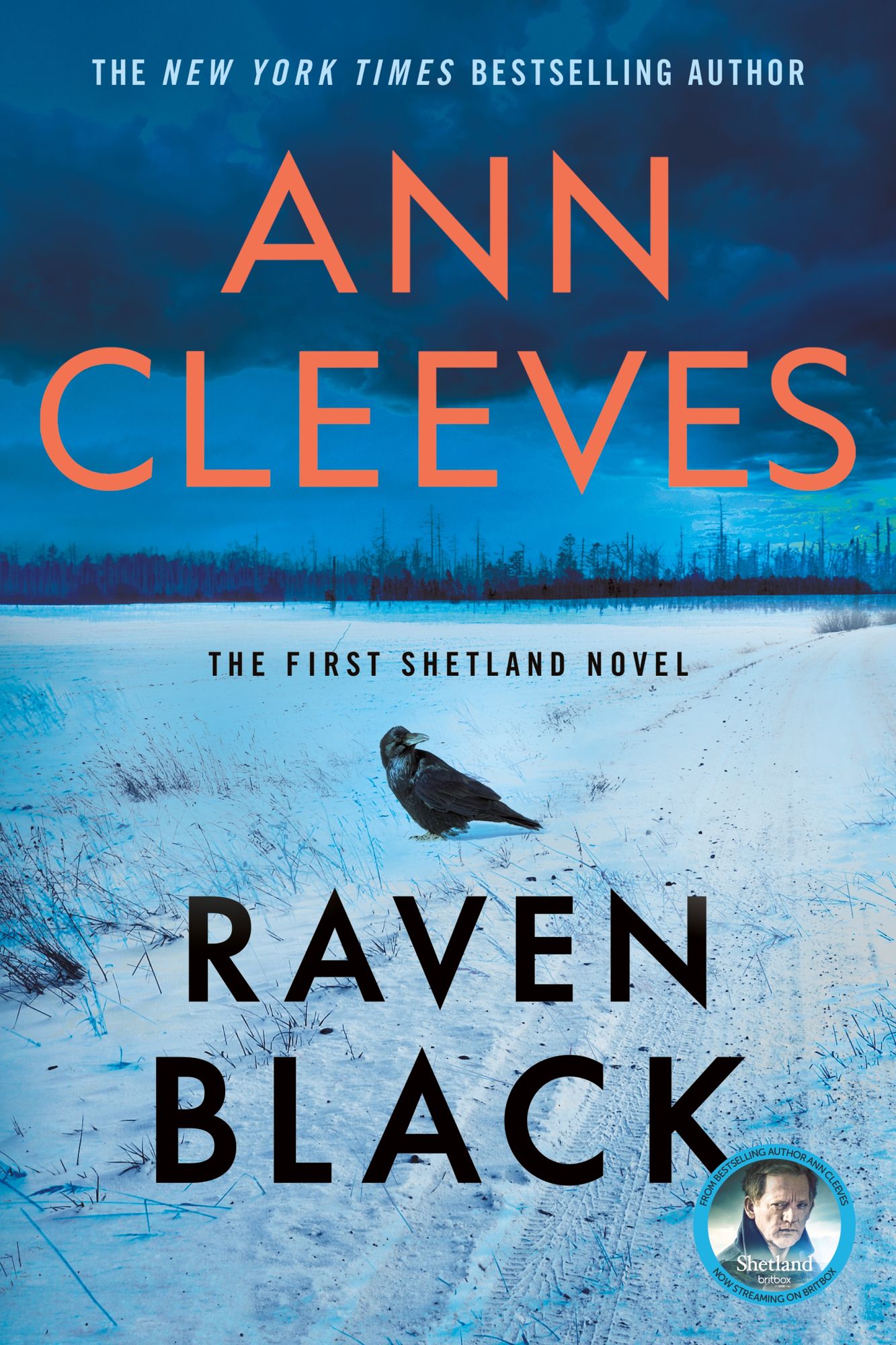 Raven Black (Shetland Island Series #1)