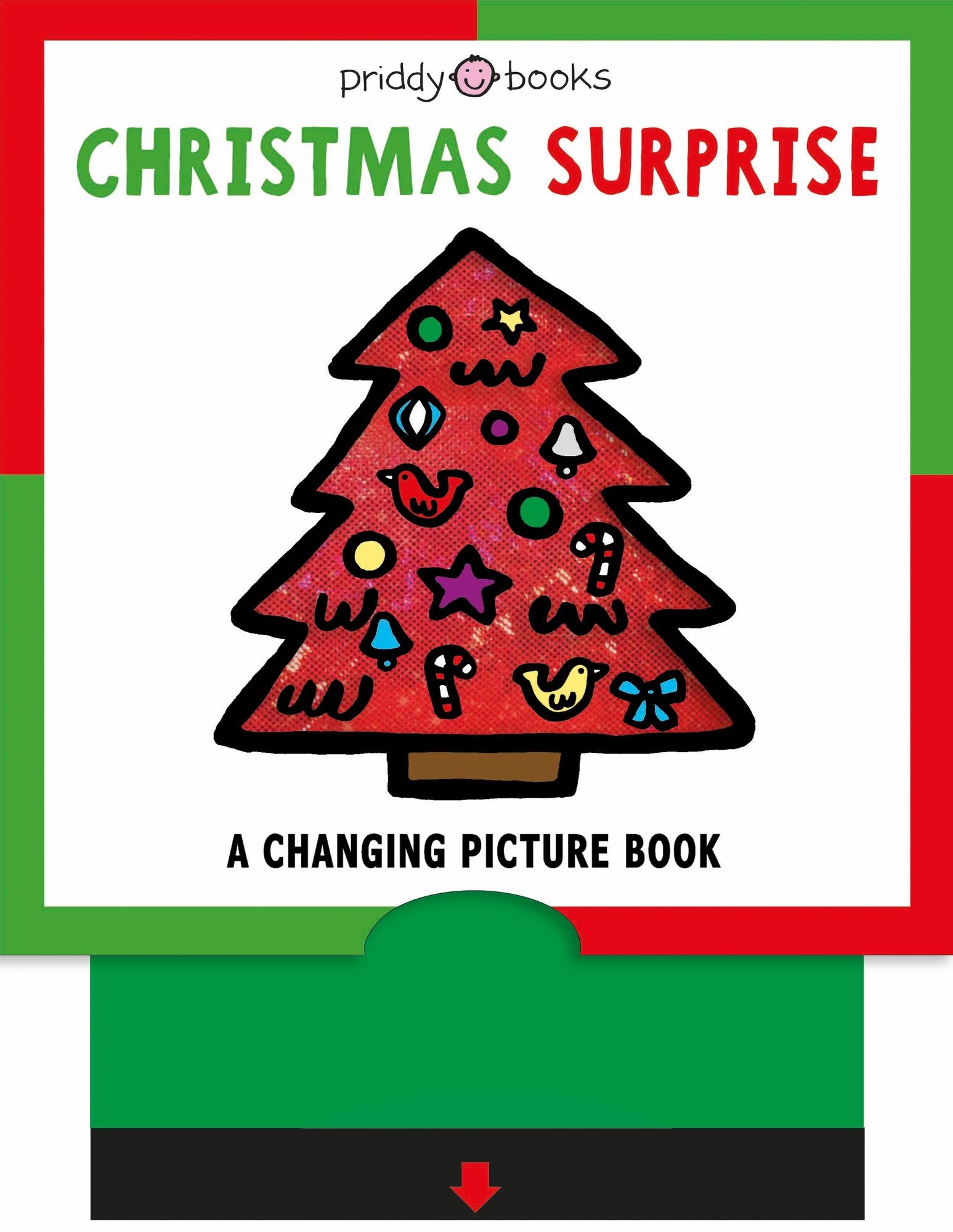 Changing Picture Book: Christmas Surprise