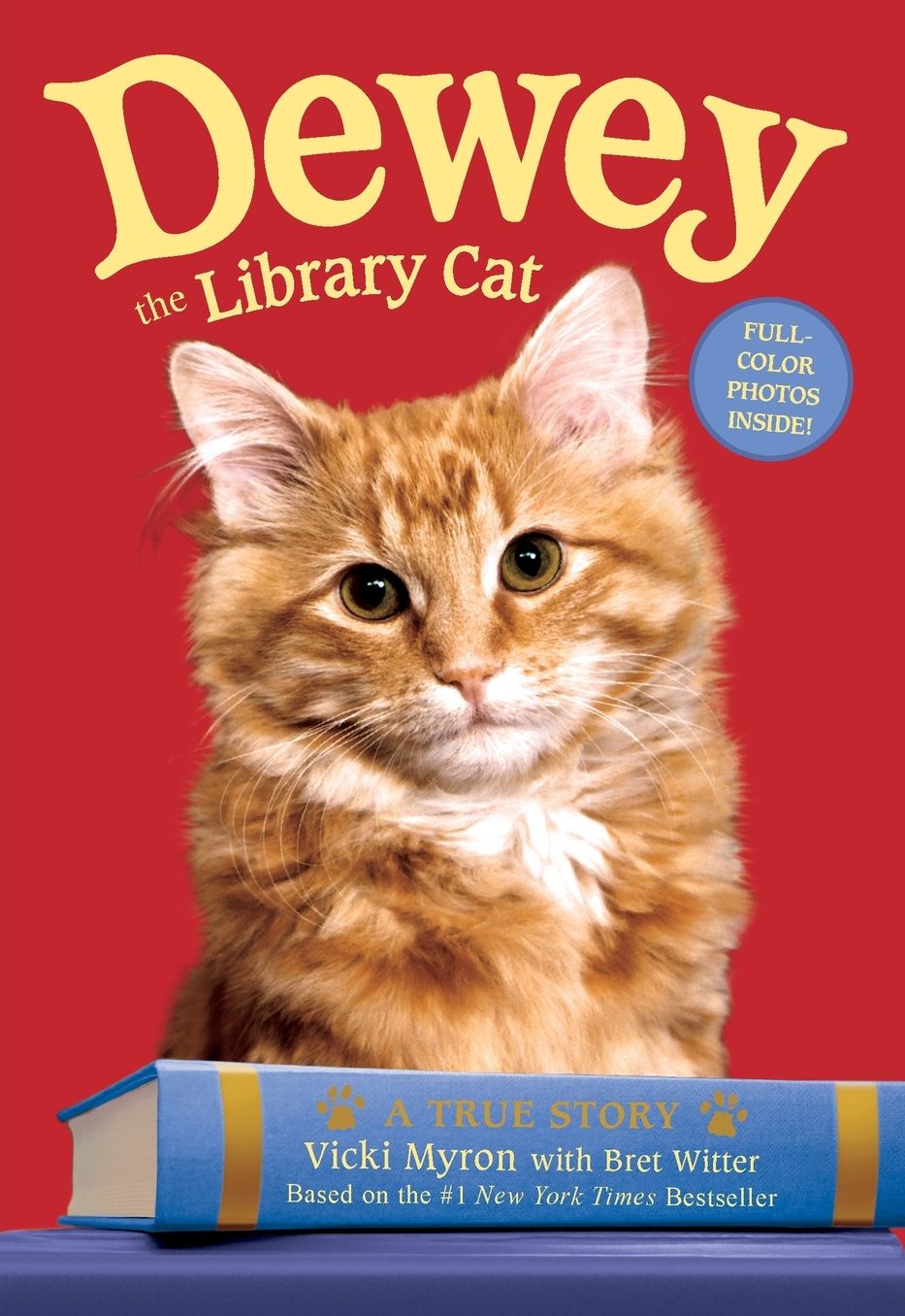 Dewey the Library Cat: A True Story