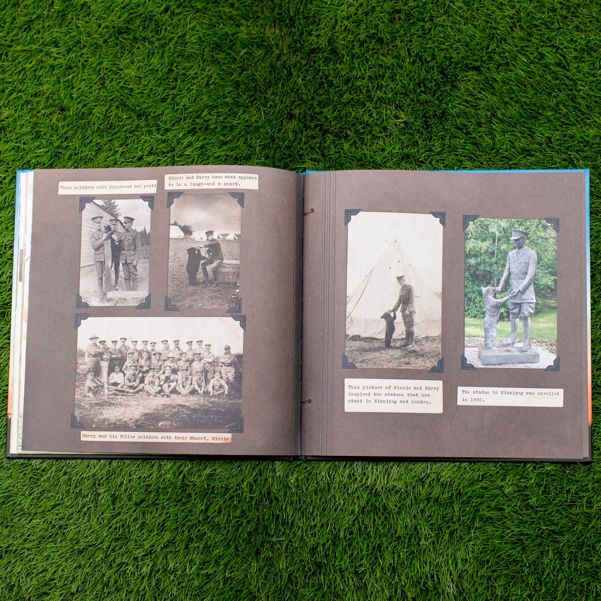 Finding Winnie: The True Story of the World's Most Famous Bear (Caldecott Medal Winner)