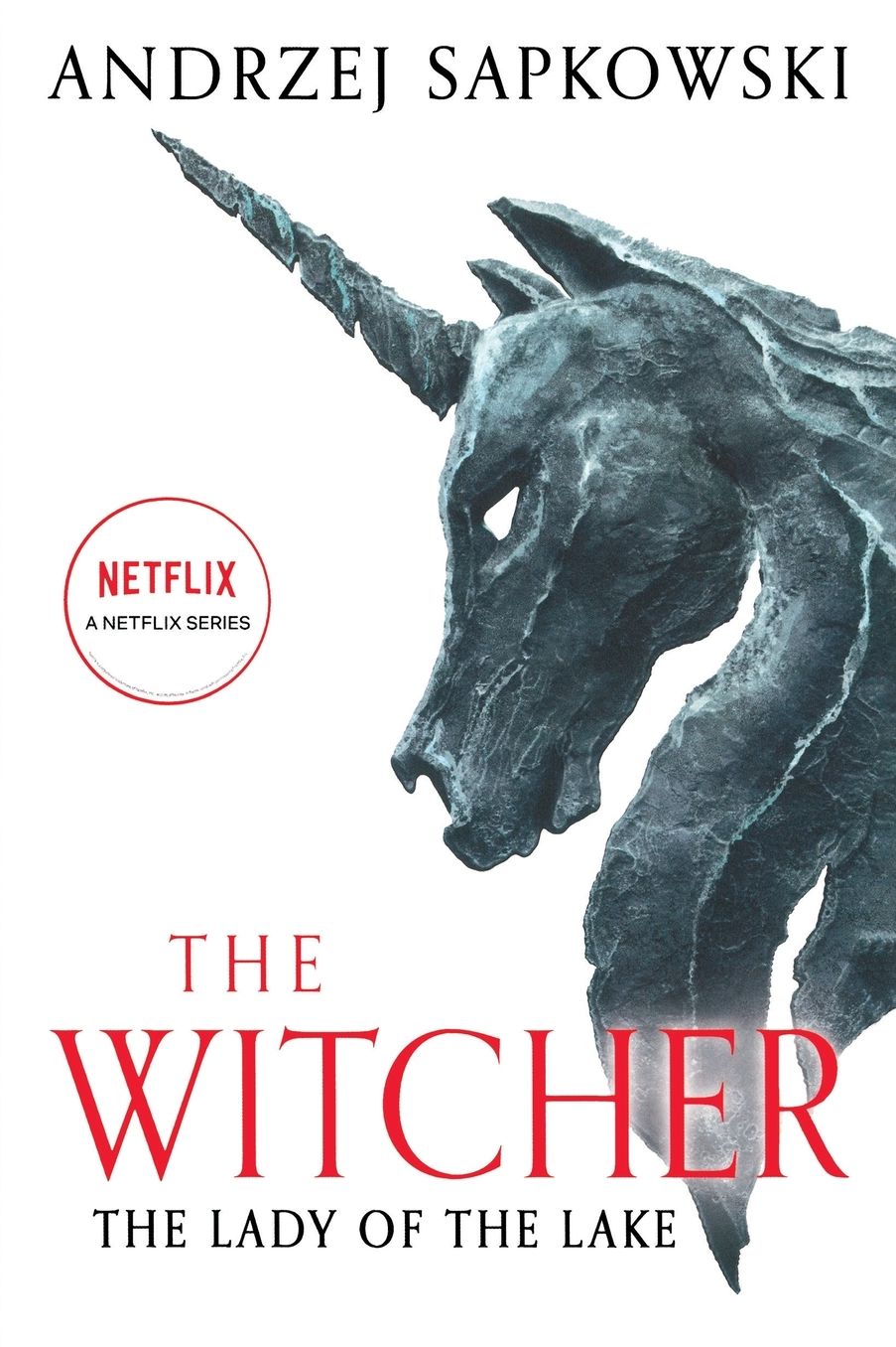 The Lady of the Lake (Witcher Series #5)