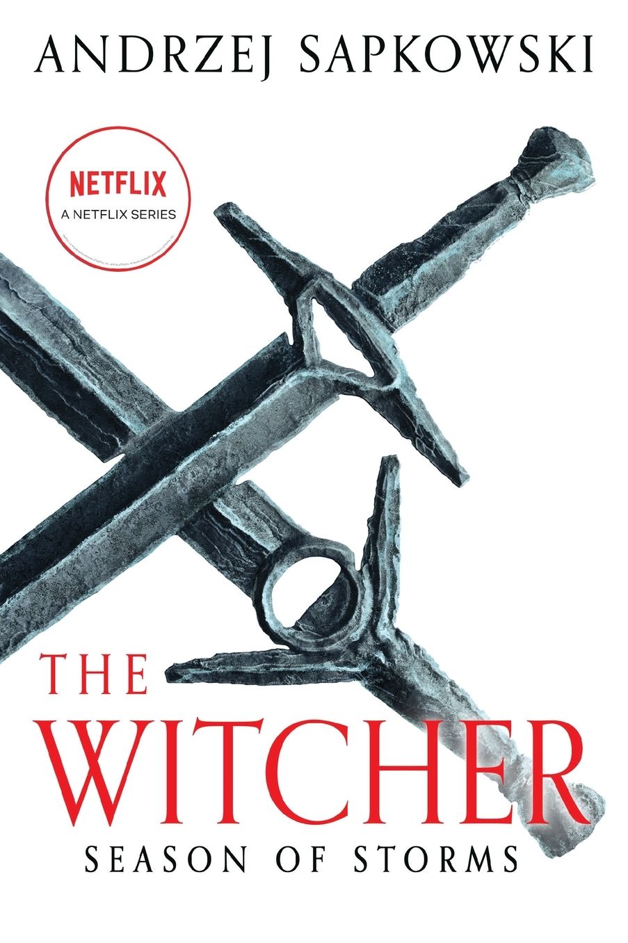 Season of Storms (Witcher Series #6)