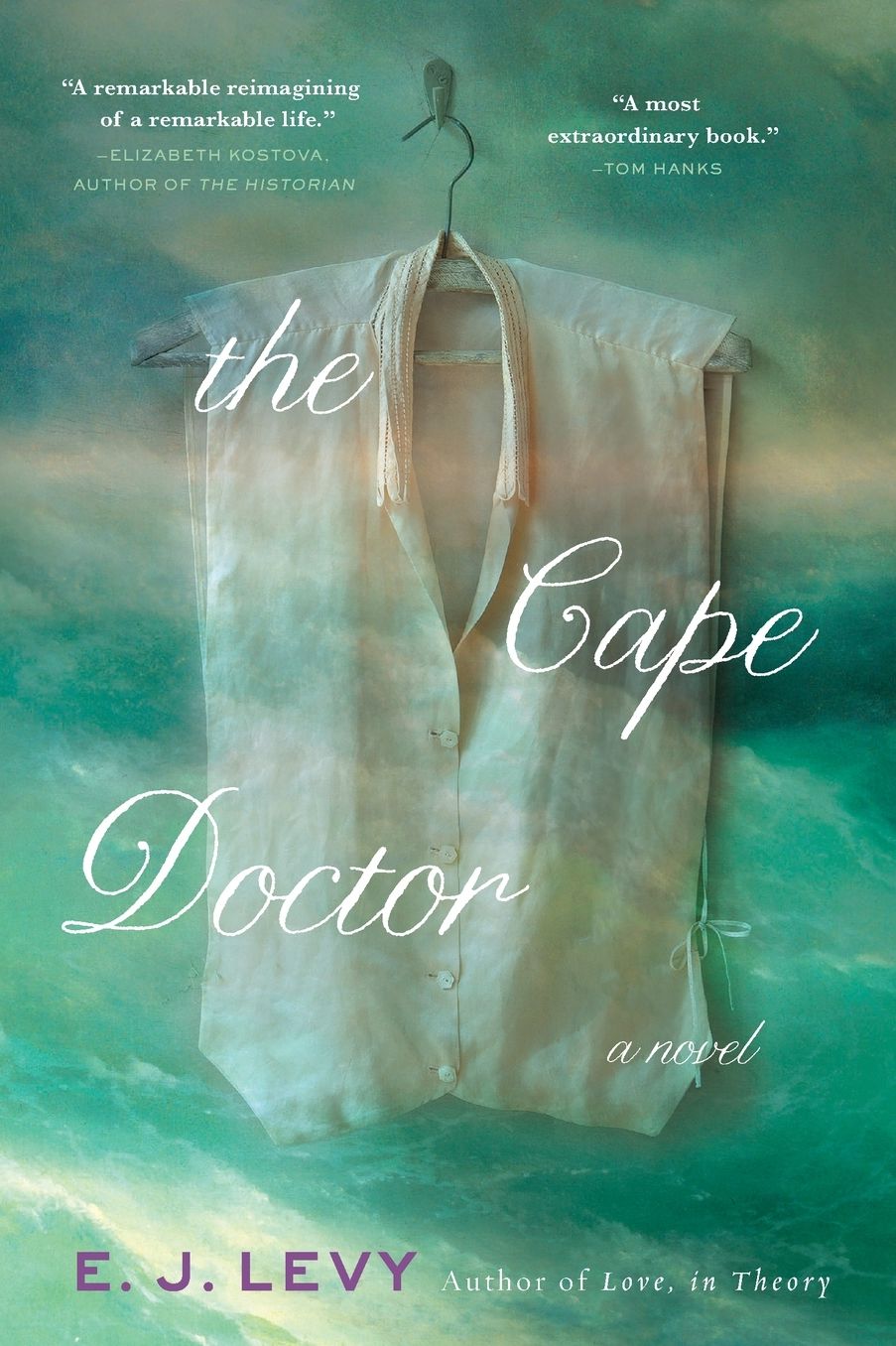 The Cape Doctor: A Novel