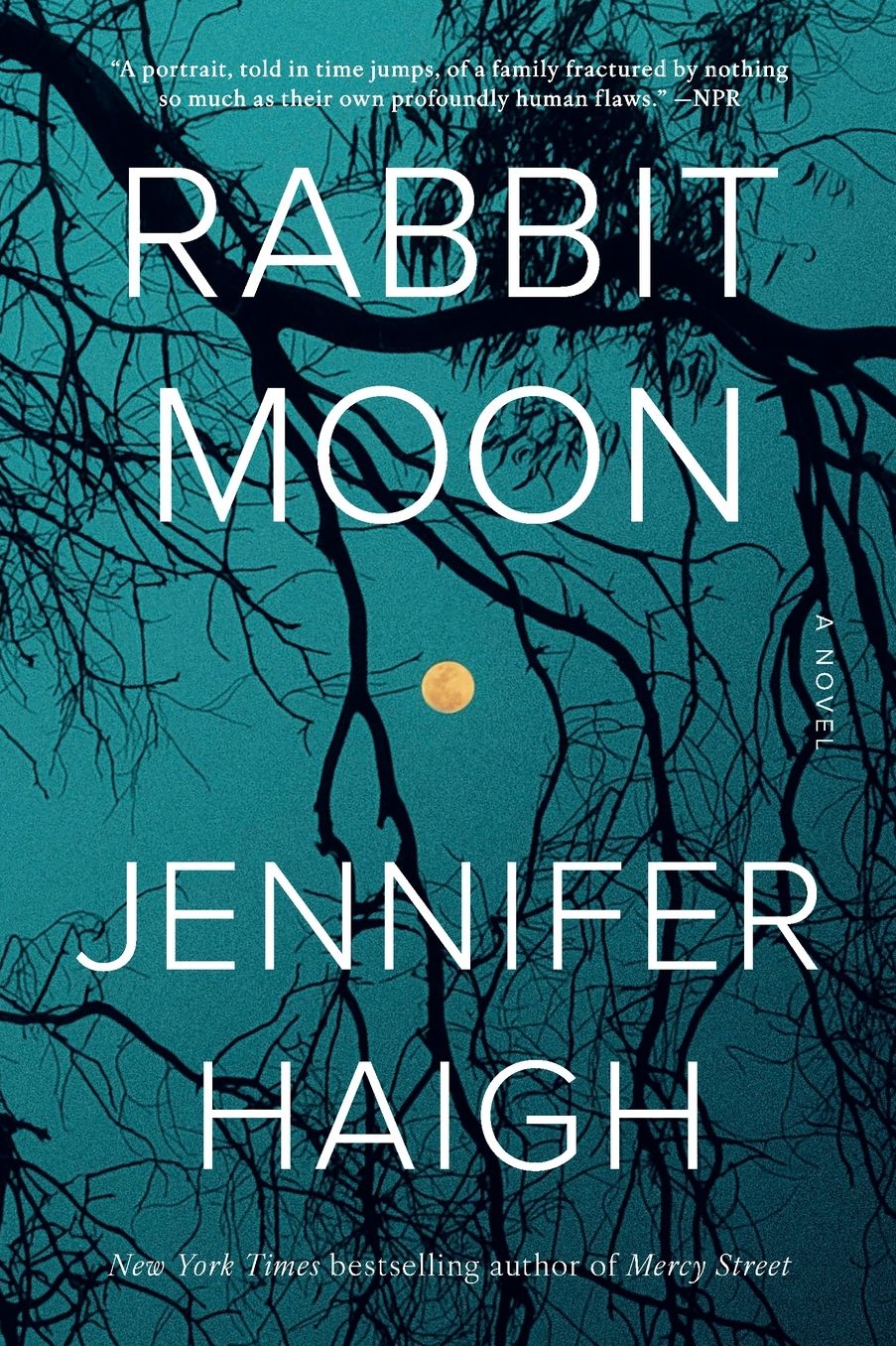 Rabbit Moon: A Novel