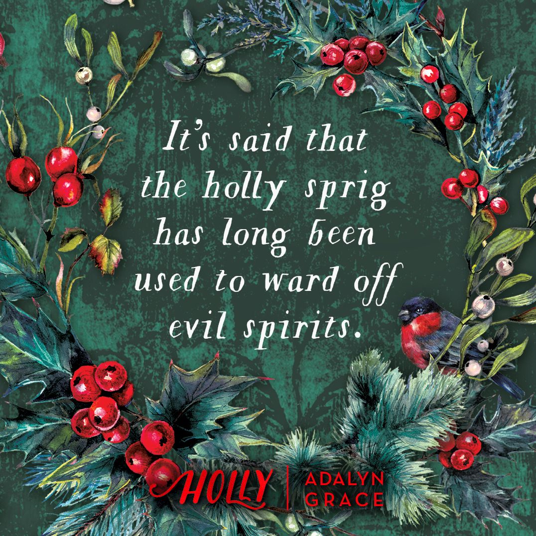Holly: A Belladonna Novella (B&N Exclusive Edition)