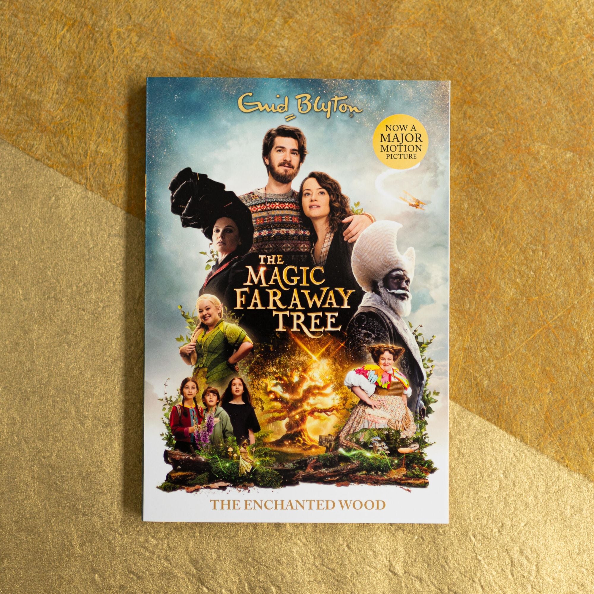The Magic Faraway Tree: The Enchanted Wood