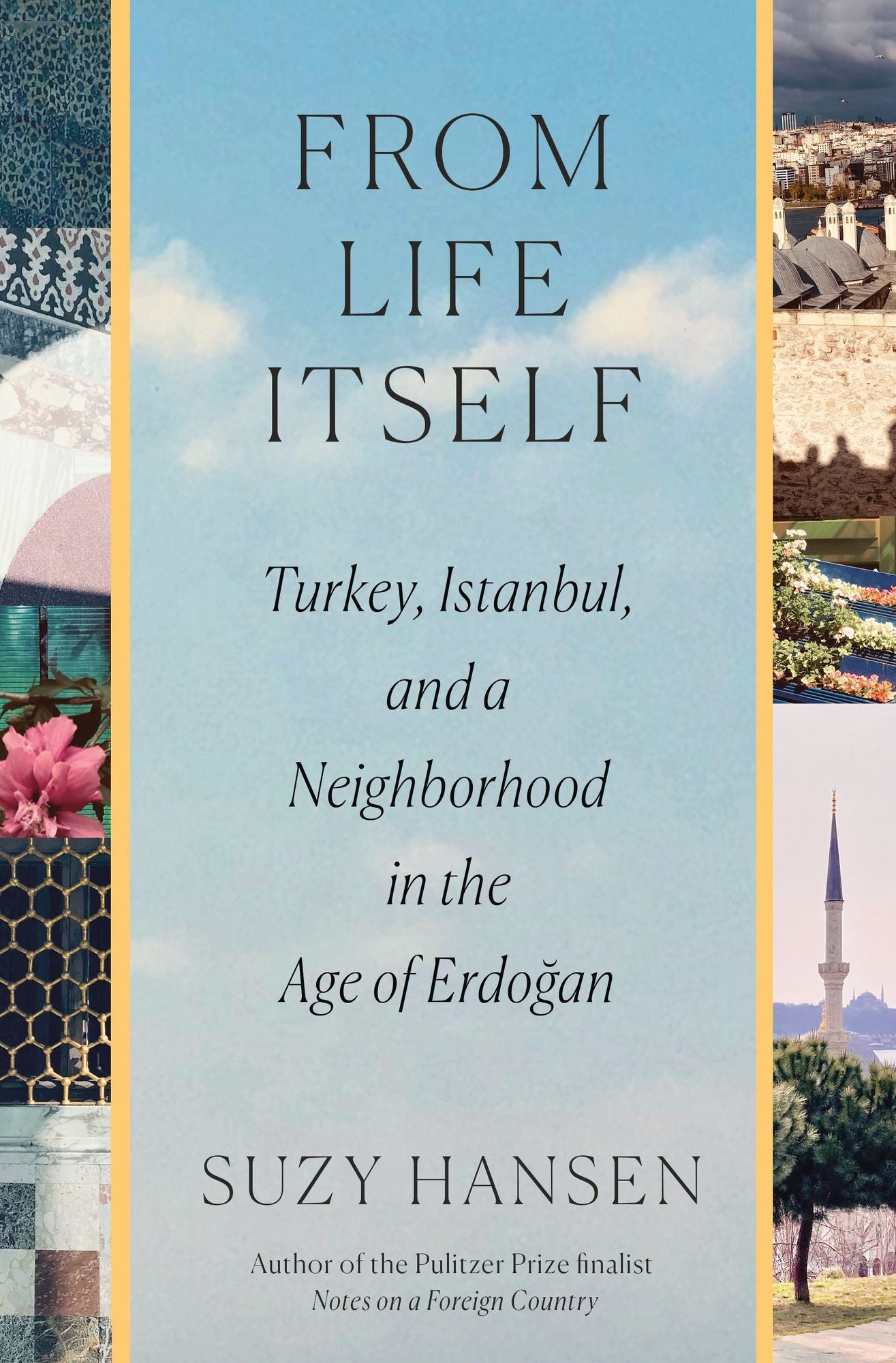 From Life Itself: Turkey, Istanbul, and a Neighborhood in the Age of Erdogan